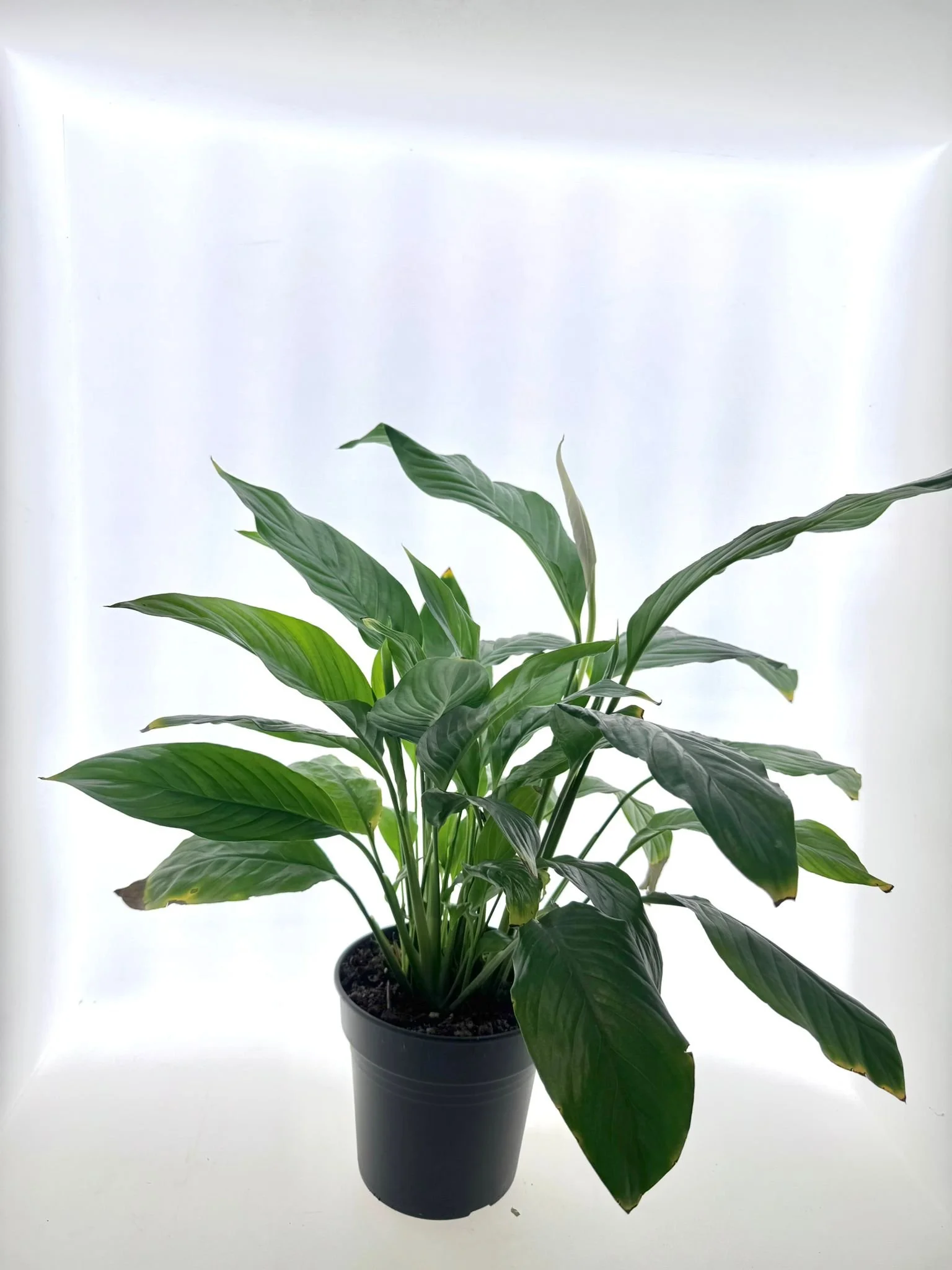 WhatsApp Image 2026-03-16 at 10.16.55.jpeg