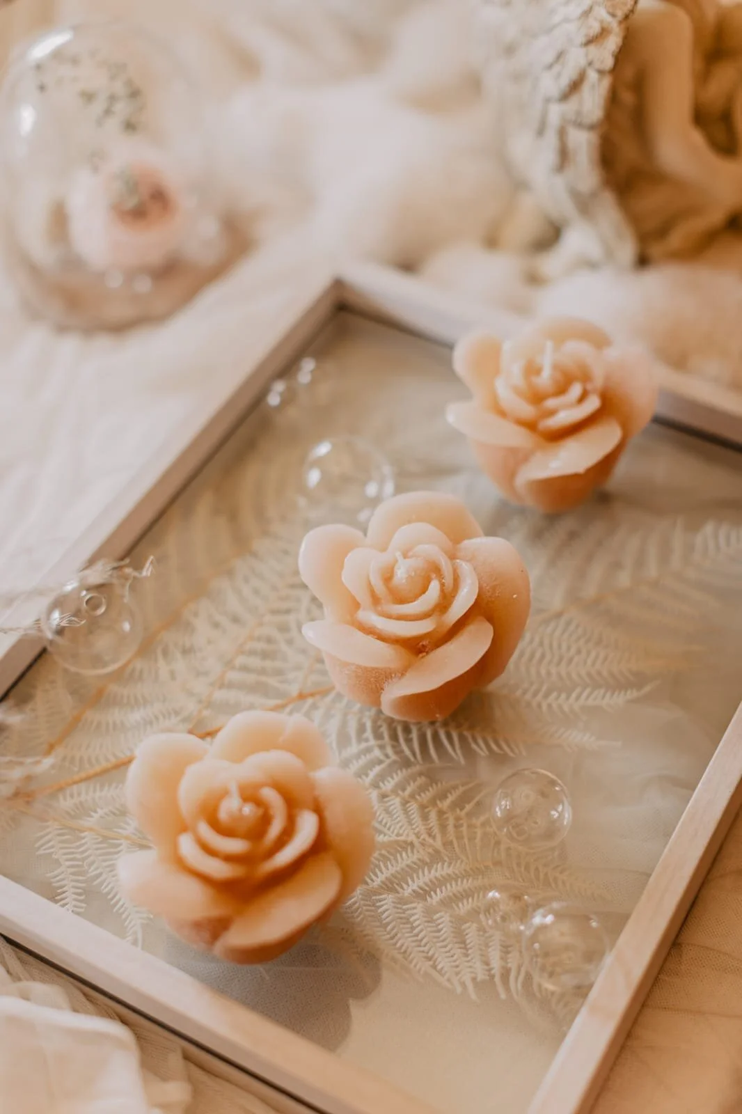 WhatsApp Image 2021-05-21 at 18.09.05 (2).jpeg