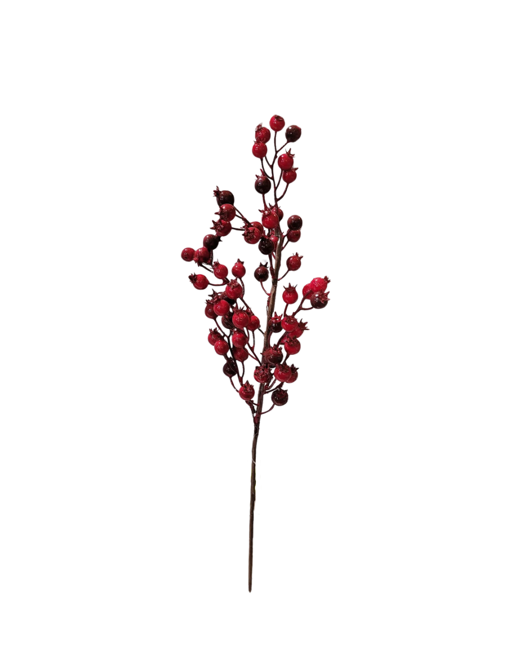 png (2).png