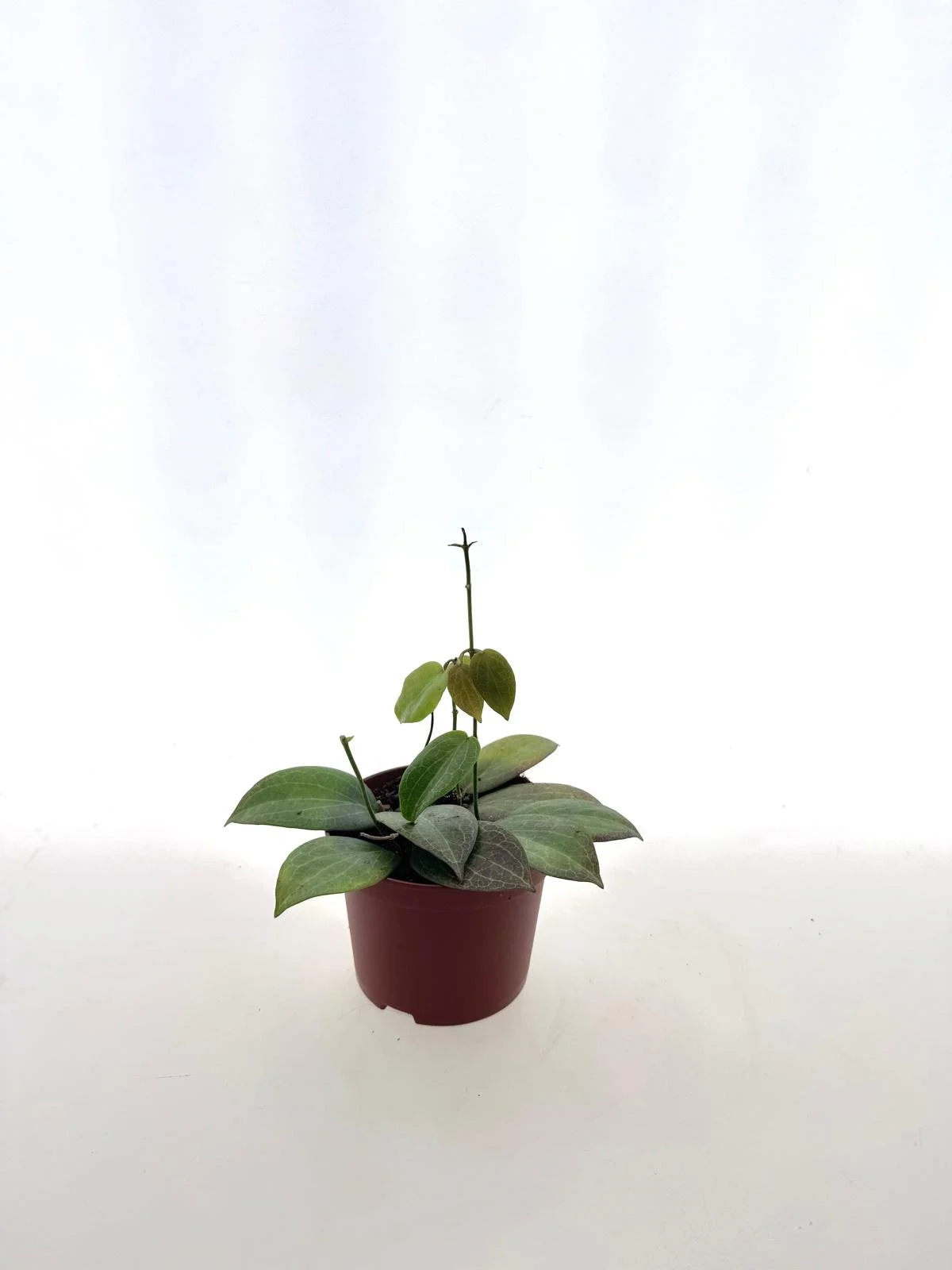 WhatsApp Image 2026-03-11 at 11.21.32 (2).jpeg