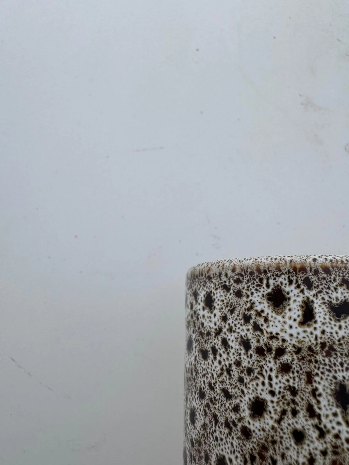 WhatsApp Image 2026-03-23 at 17.36.54 (2).jpeg