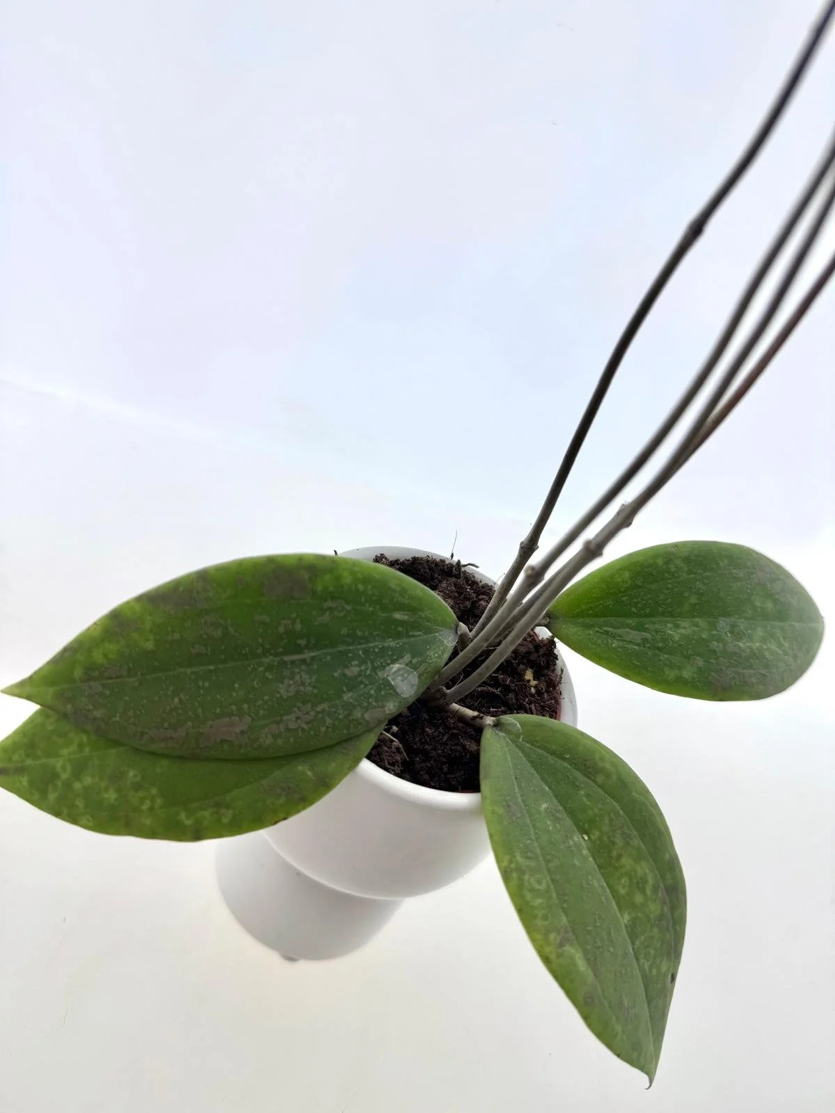 WhatsApp Image 2026-03-11 at 10.18.16 (1).jpeg