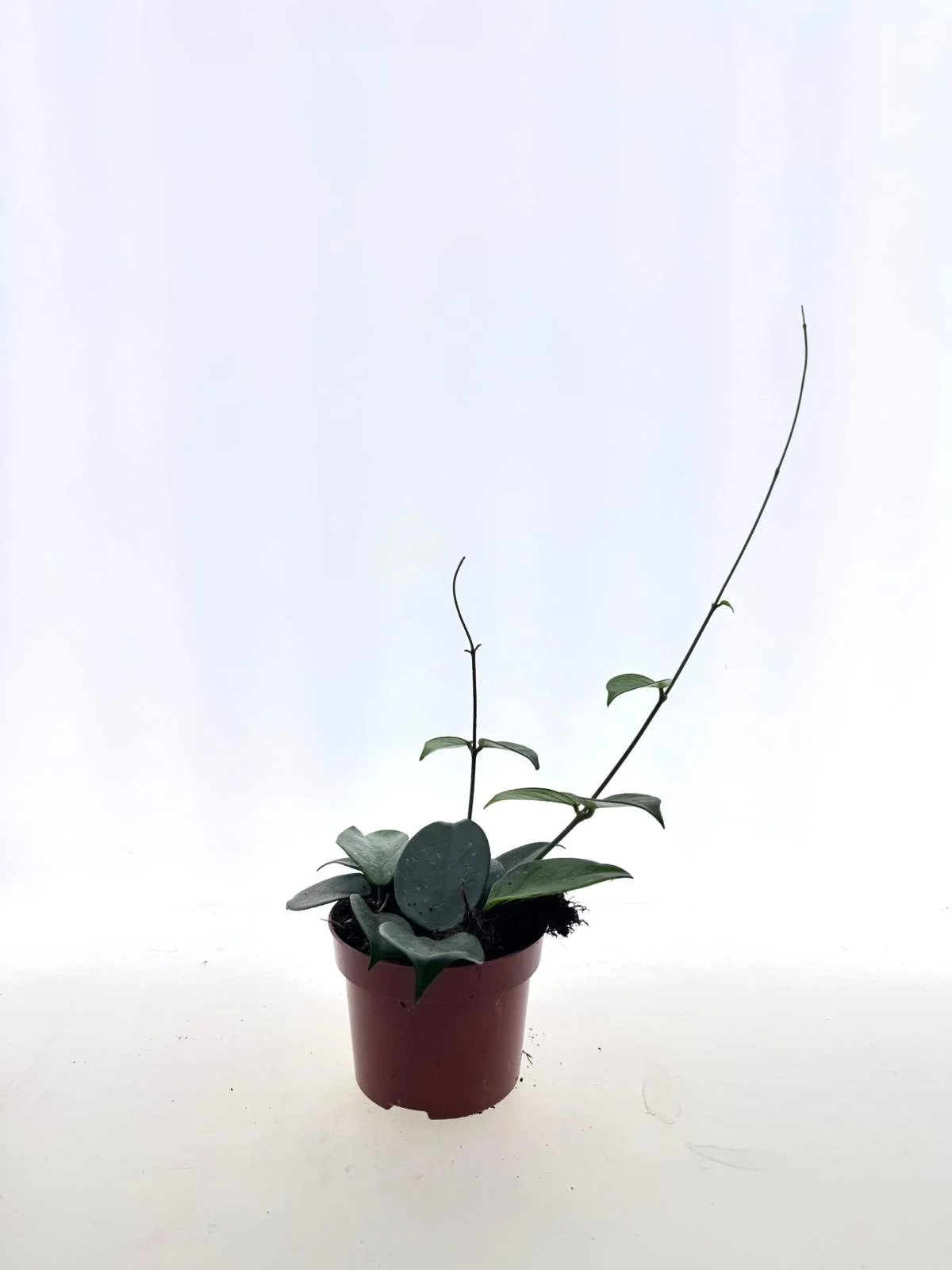 WhatsApp Image 2026-03-25 at 13.27.12 (2).jpeg