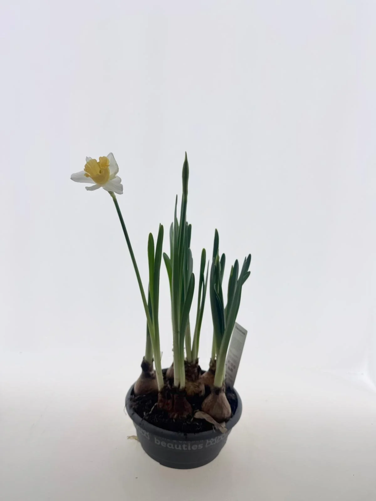 WhatsApp Image 2026-03-10 at 15.30.54 (2).jpeg