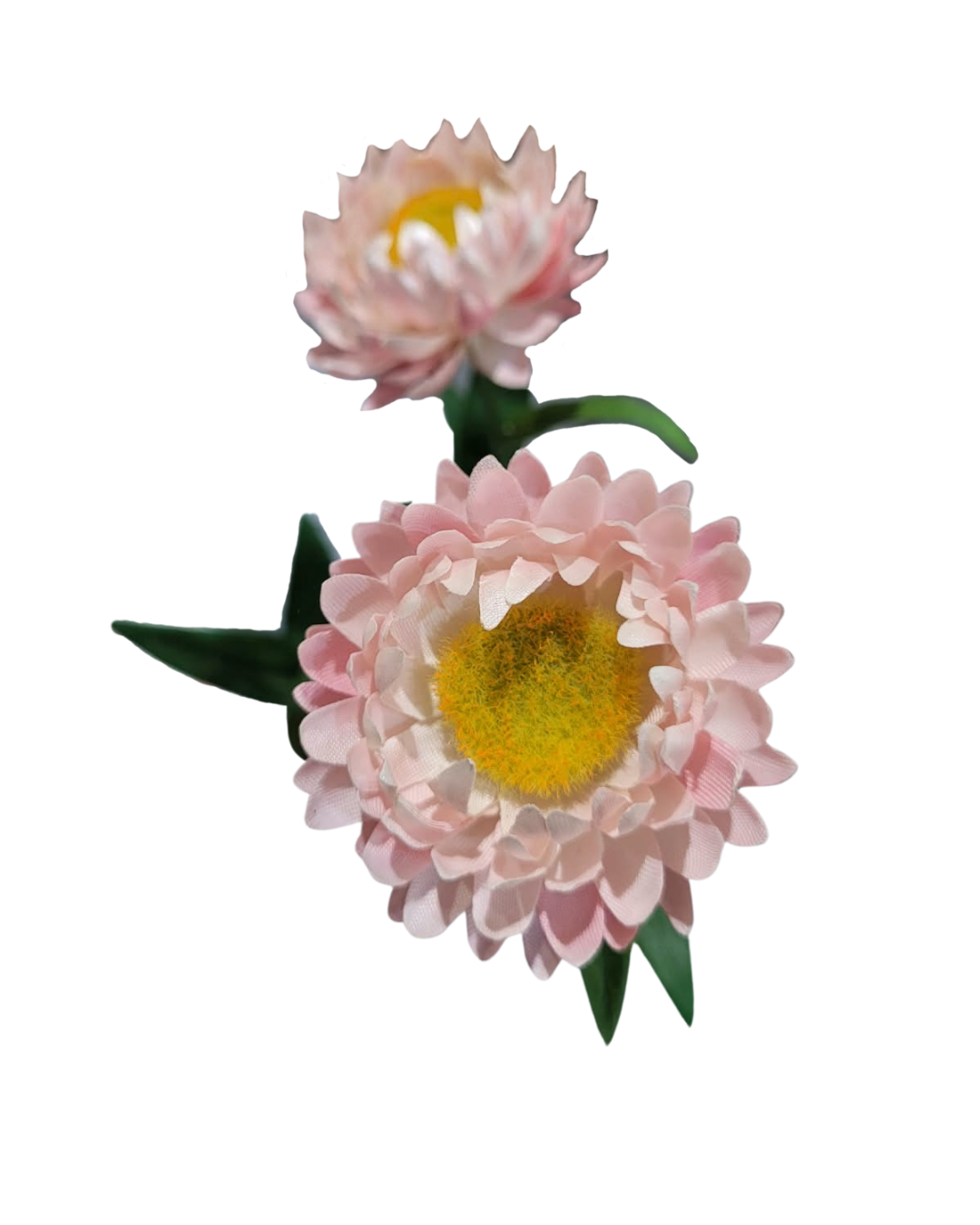 7.png