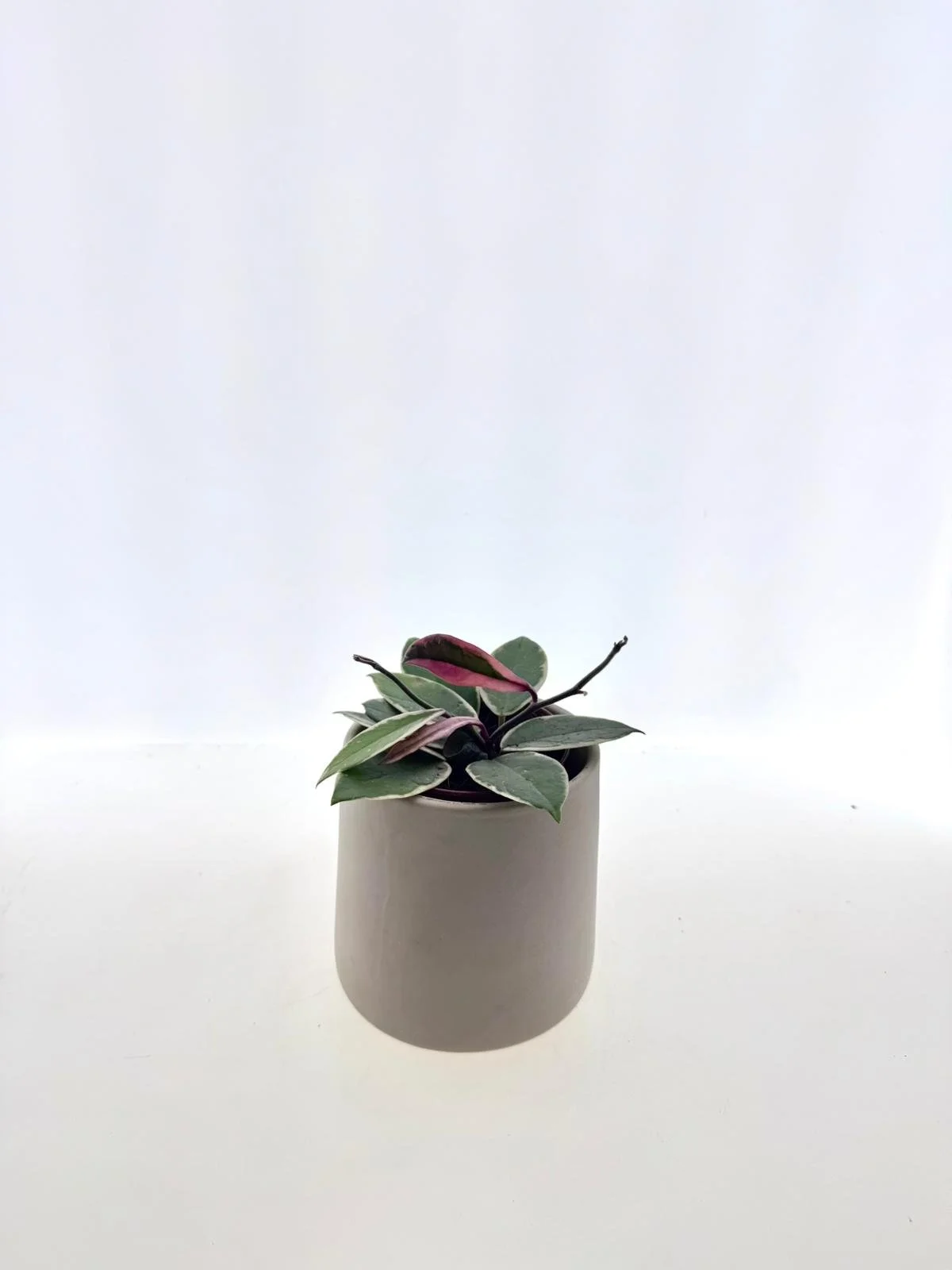 WhatsApp Image 2026-03-11 at 11.37.47.jpeg