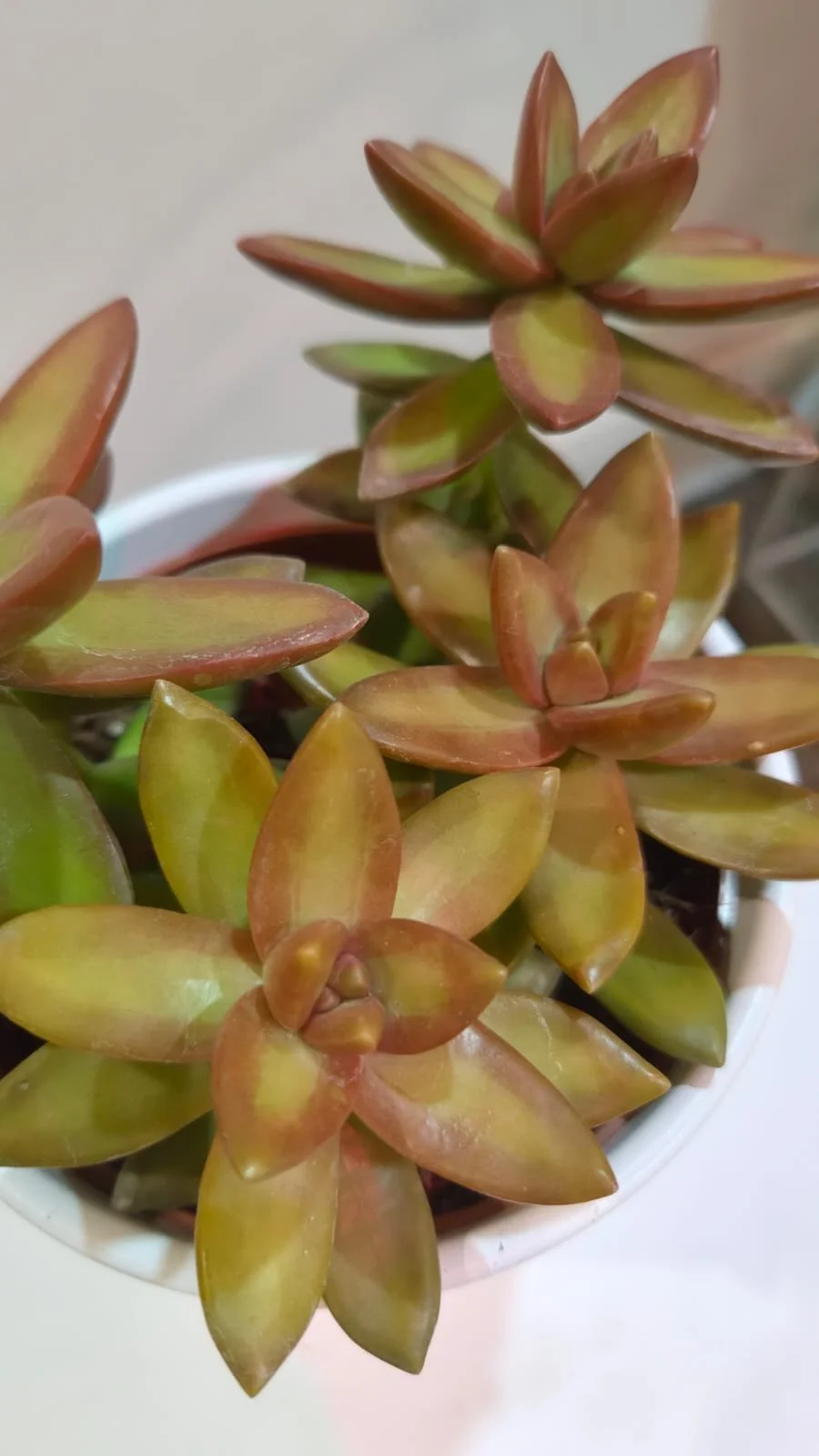 WhatsApp Image 2026-03-17 at 14.19.06.jpeg