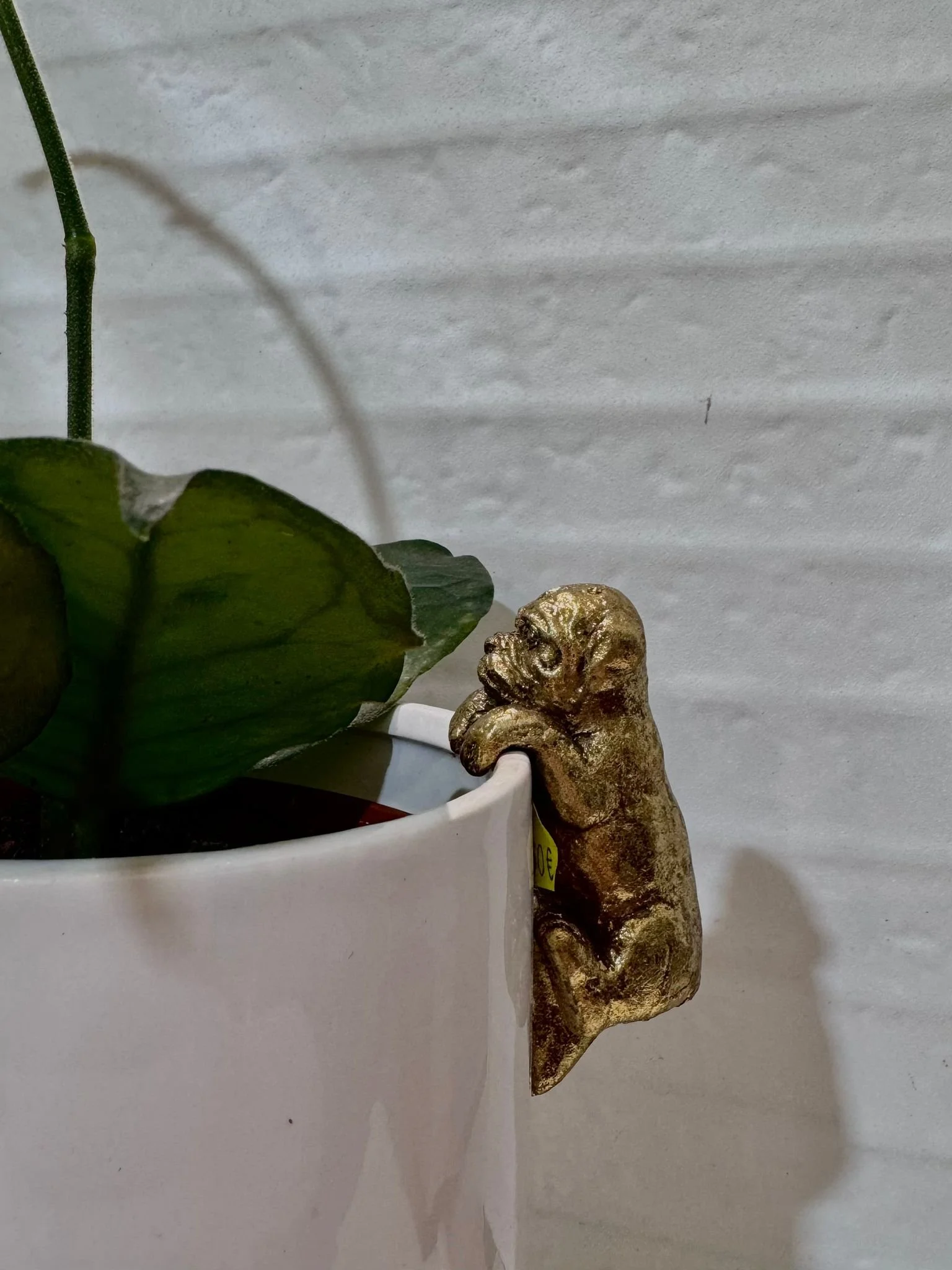 WhatsApp Image 2026-03-10 at 16.24.26 (3).jpeg