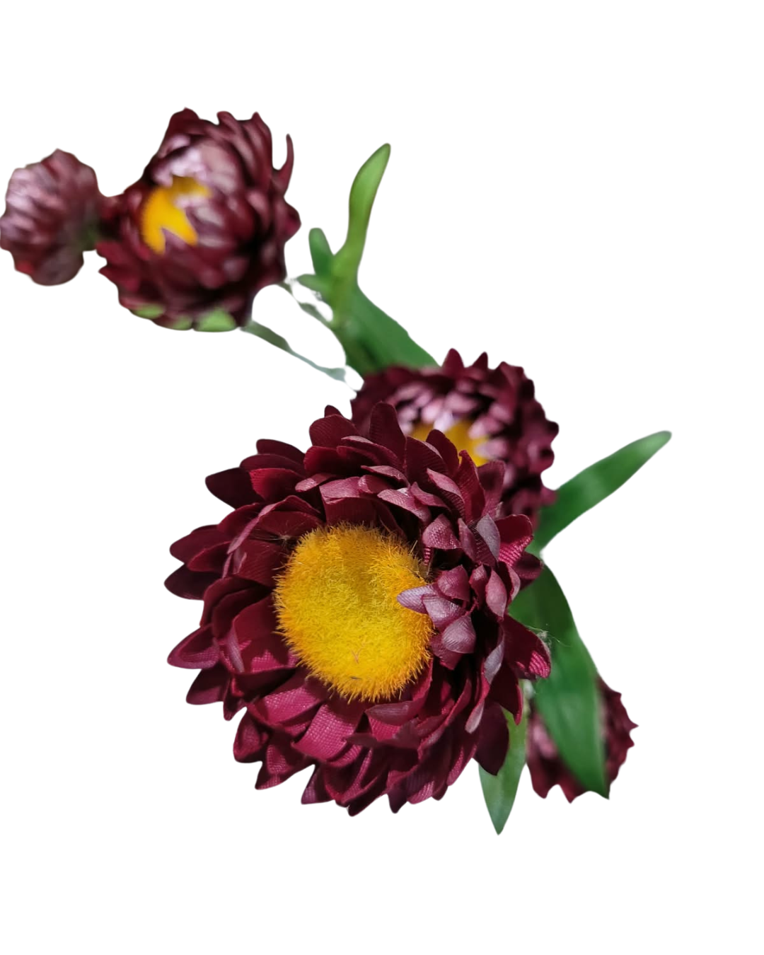6.png