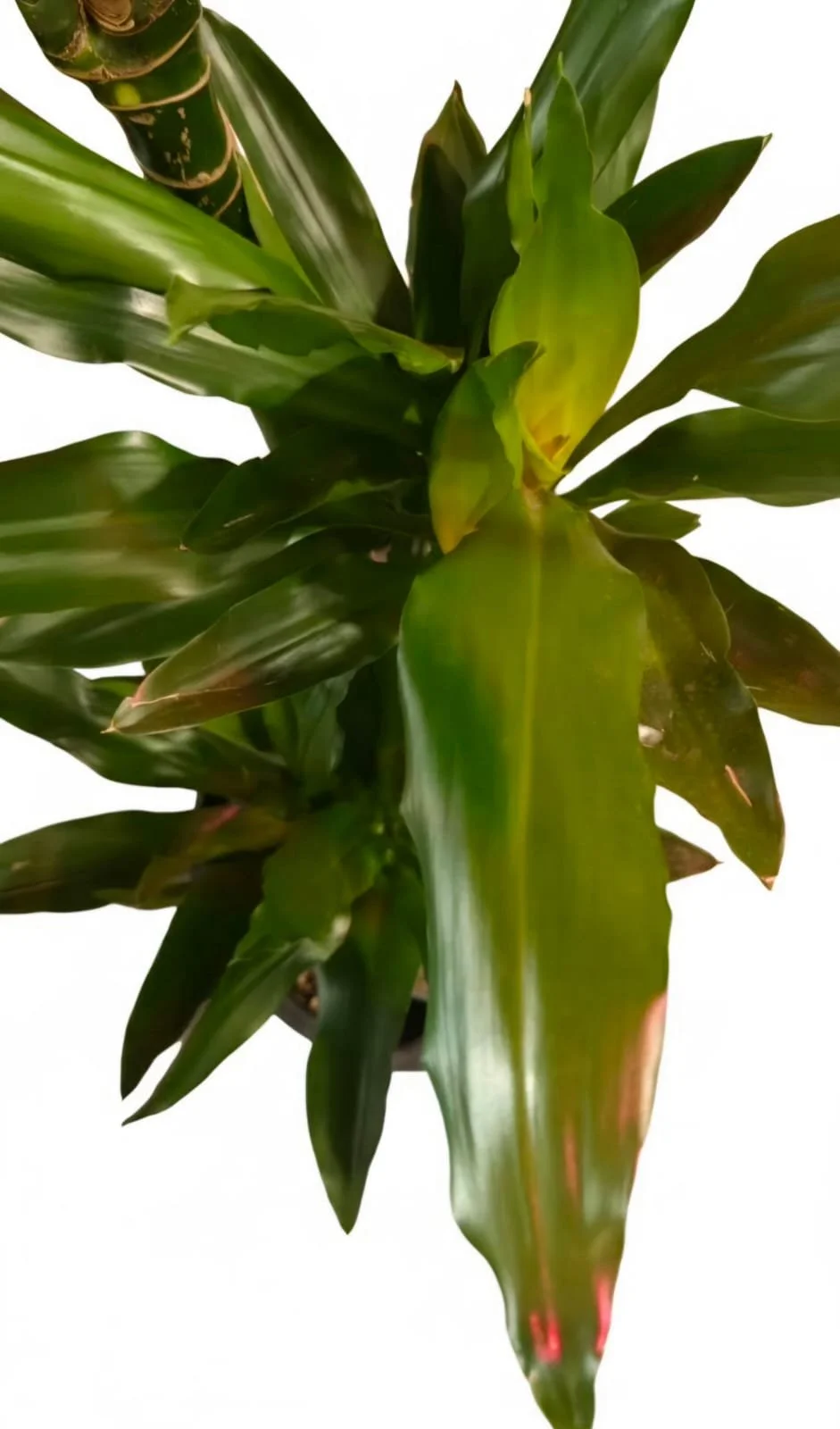 WhatsApp Image 2026-03-17 at 15.53.04.jpeg