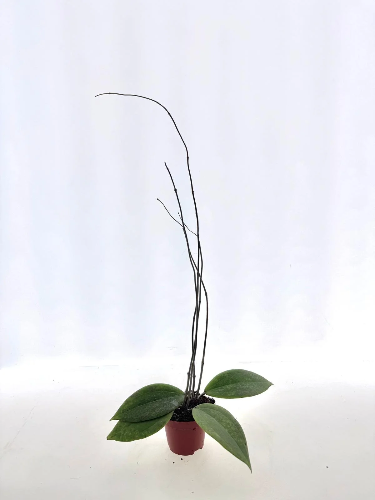 WhatsApp Image 2026-03-11 at 10.18.16 (2).jpeg