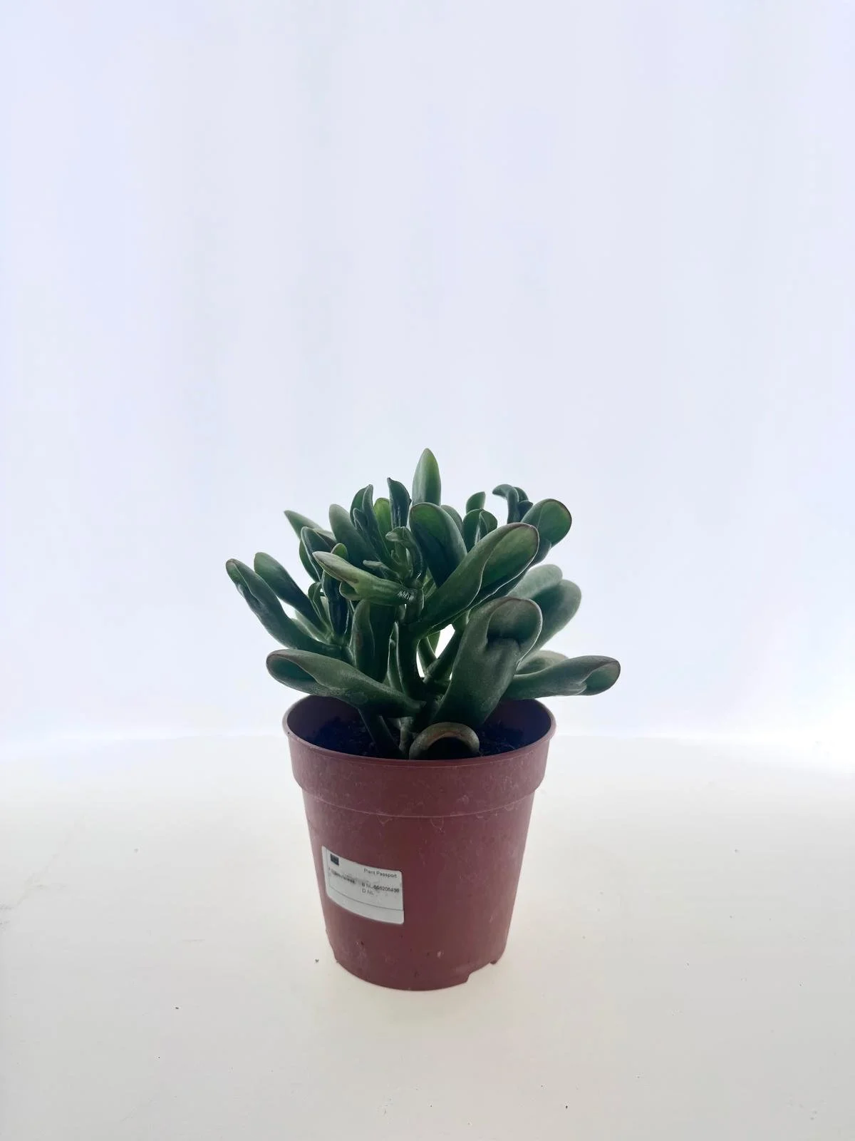 WhatsApp Image 2026-03-10 at 15.18.56.jpeg