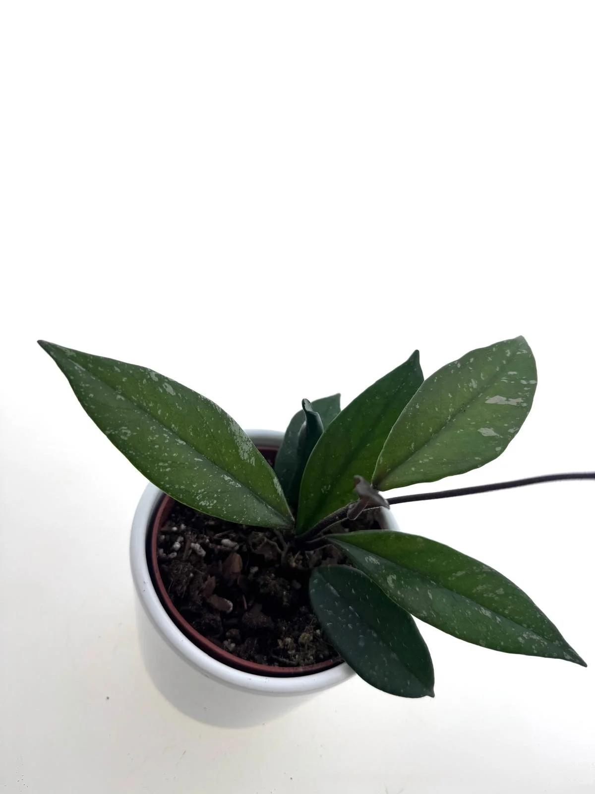 WhatsApp Image 2026-03-25 at 15.54.39 (1).jpeg