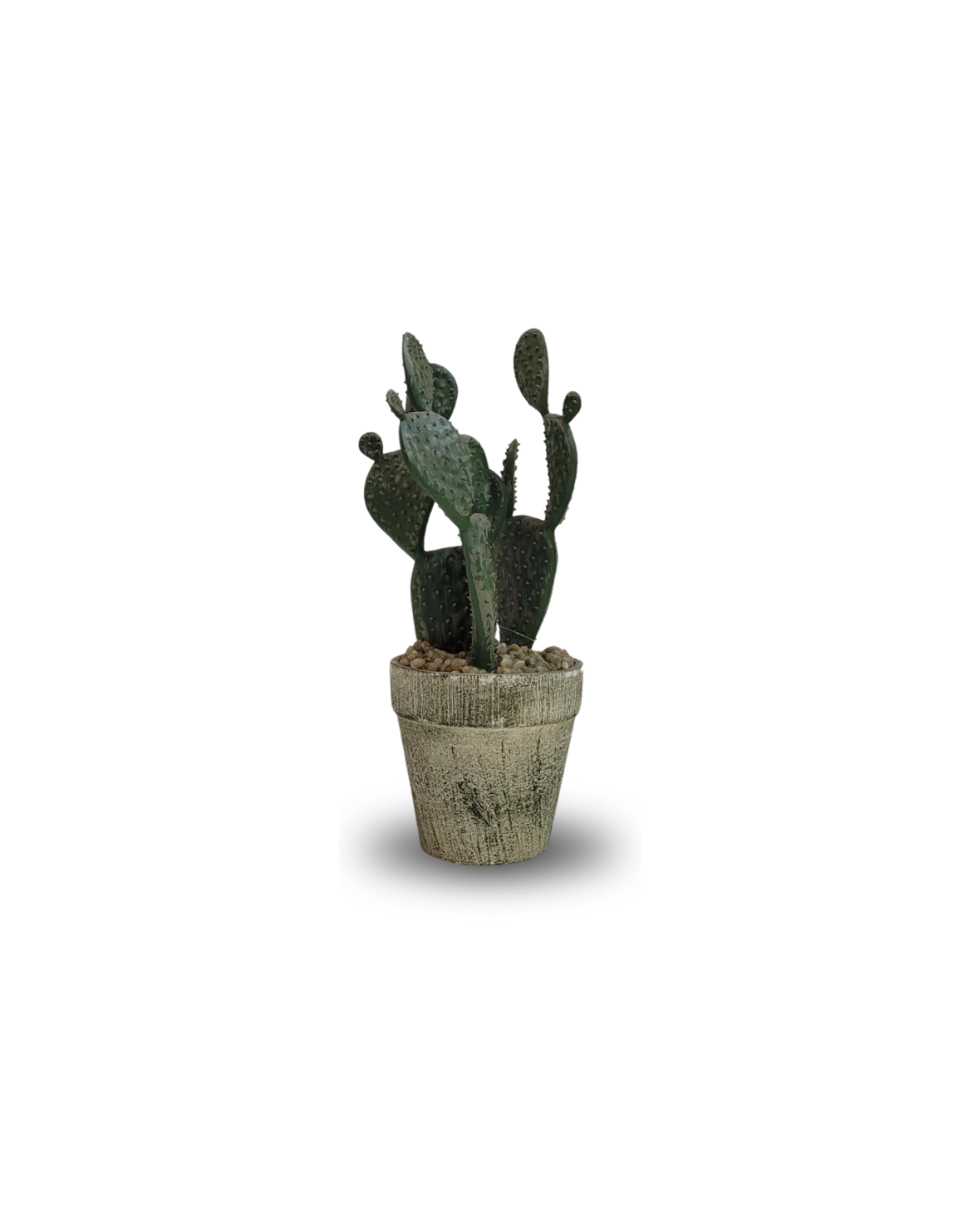 Untitled design - 2026-08-31T125404.453.png