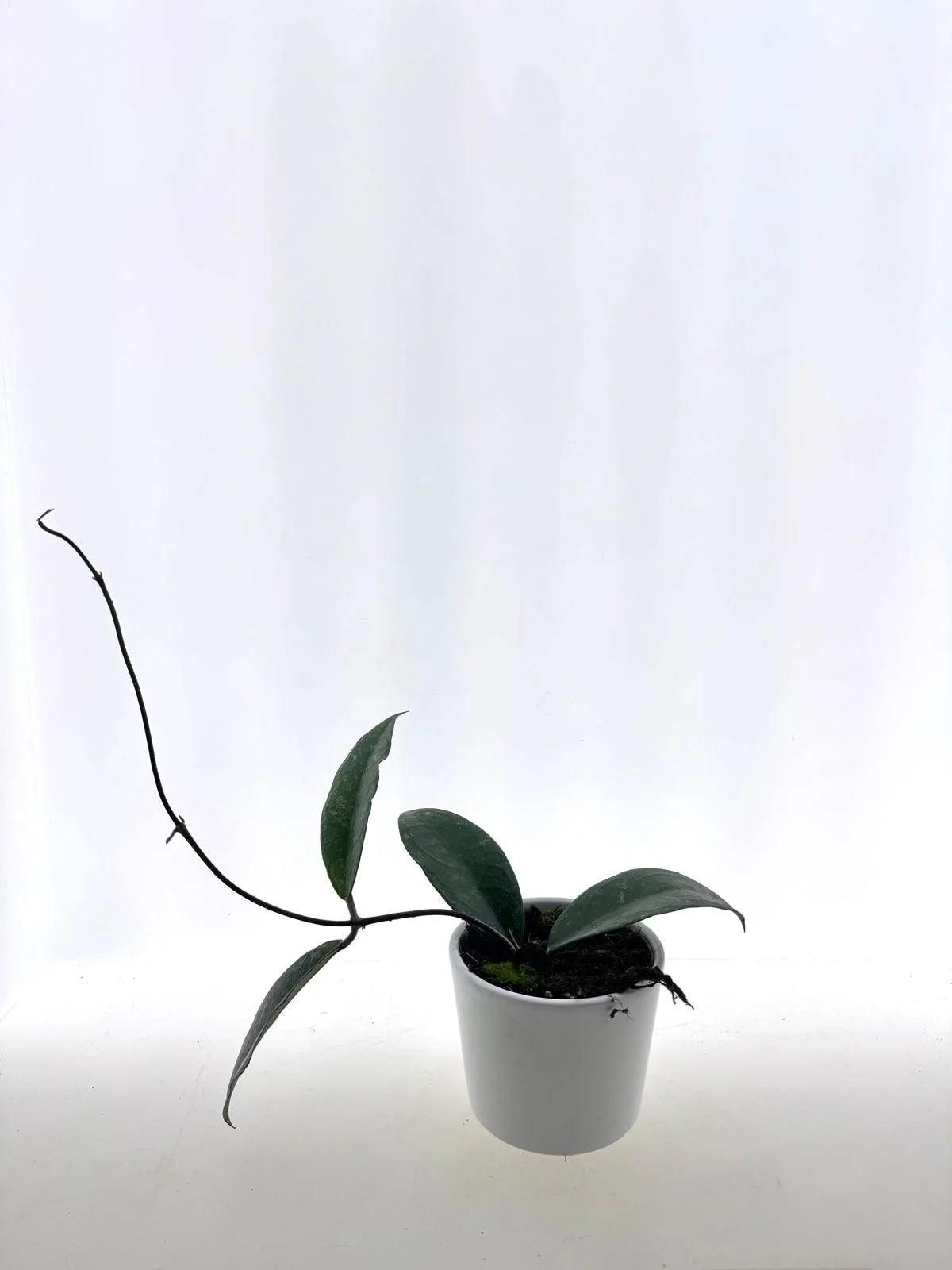 WhatsApp Image 2026-03-25 at 15.41.22.jpeg