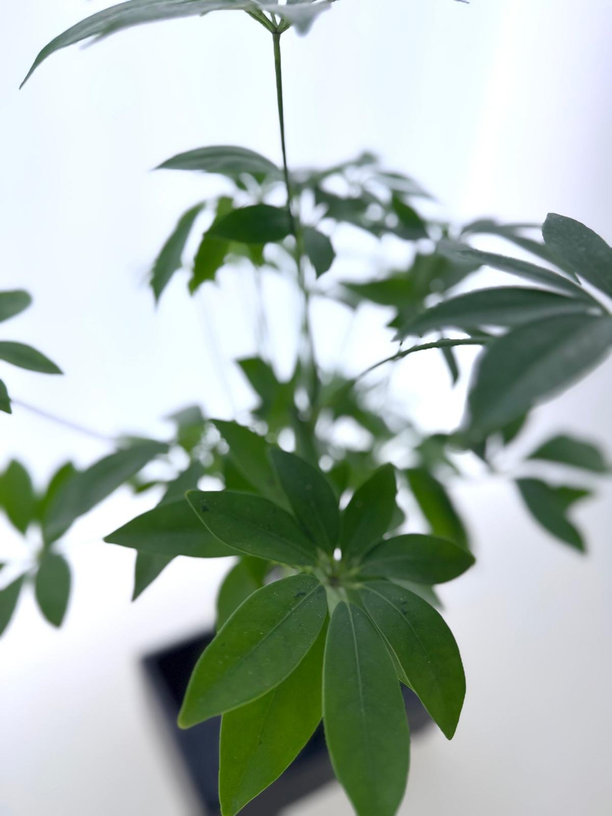 WhatsApp Image 2026-03-13 at 13.37.26 (5).jpeg