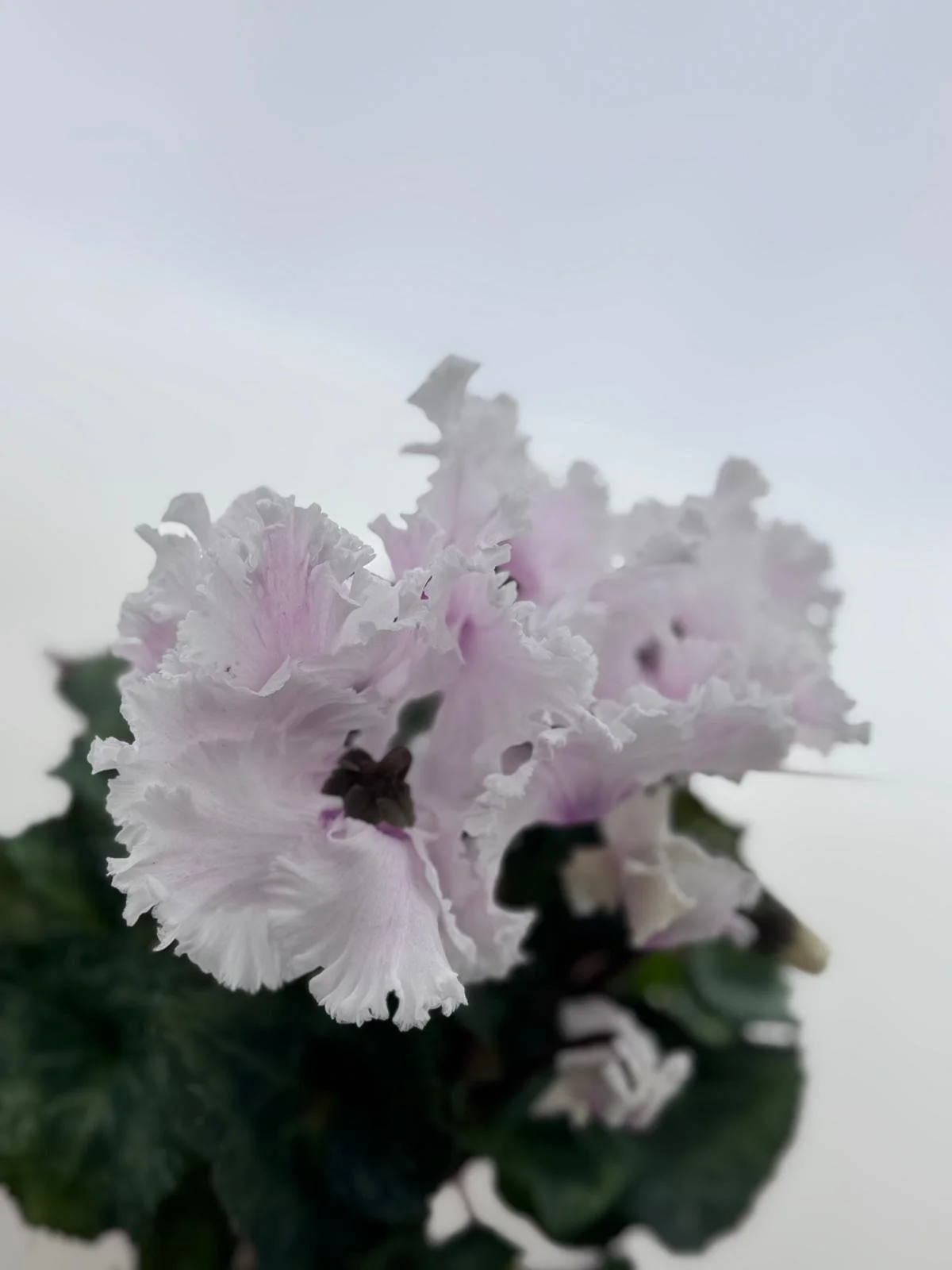 WhatsApp Image 2026-03-10 at 14.25.32.jpeg