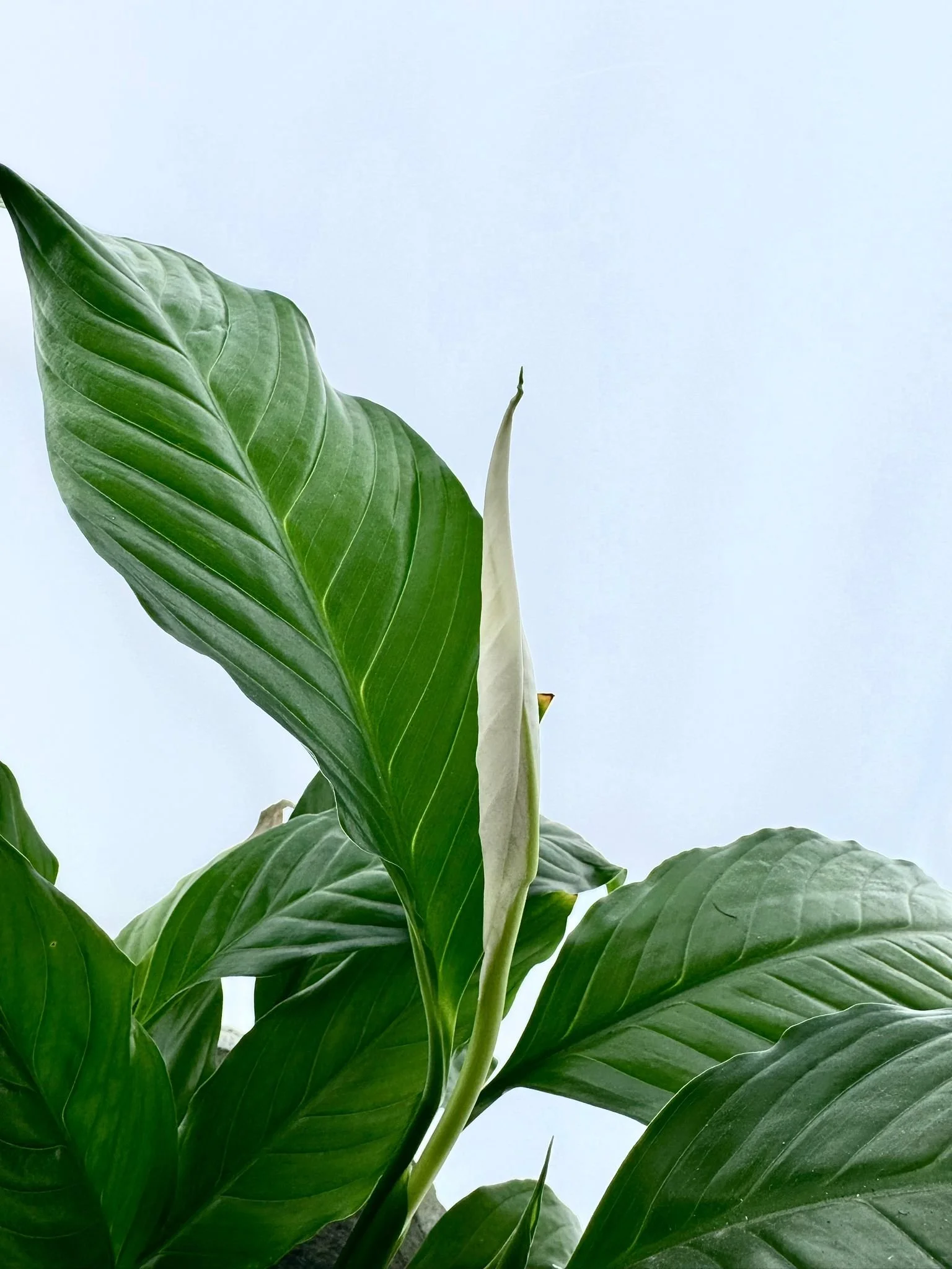 WhatsApp Image 2026-03-16 at 10.16.54.jpeg