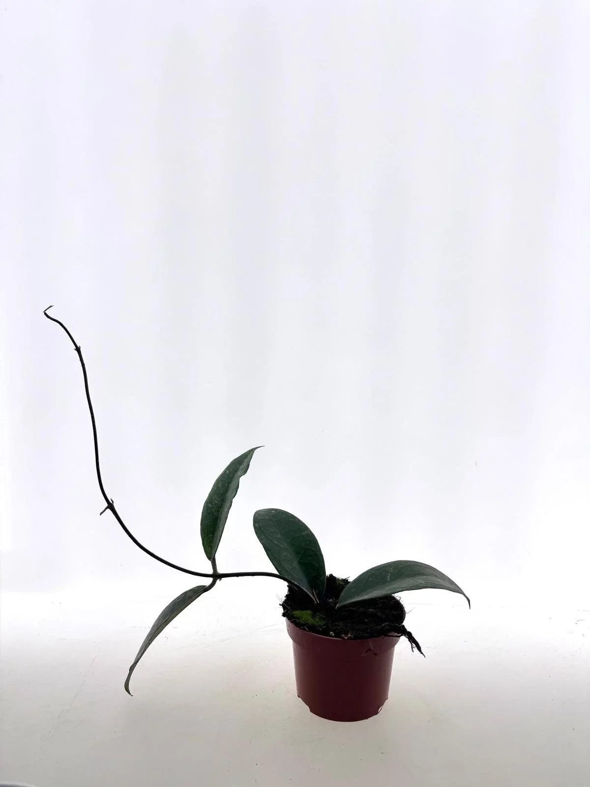 WhatsApp Image 2026-03-25 at 15.41.22 (2).jpeg