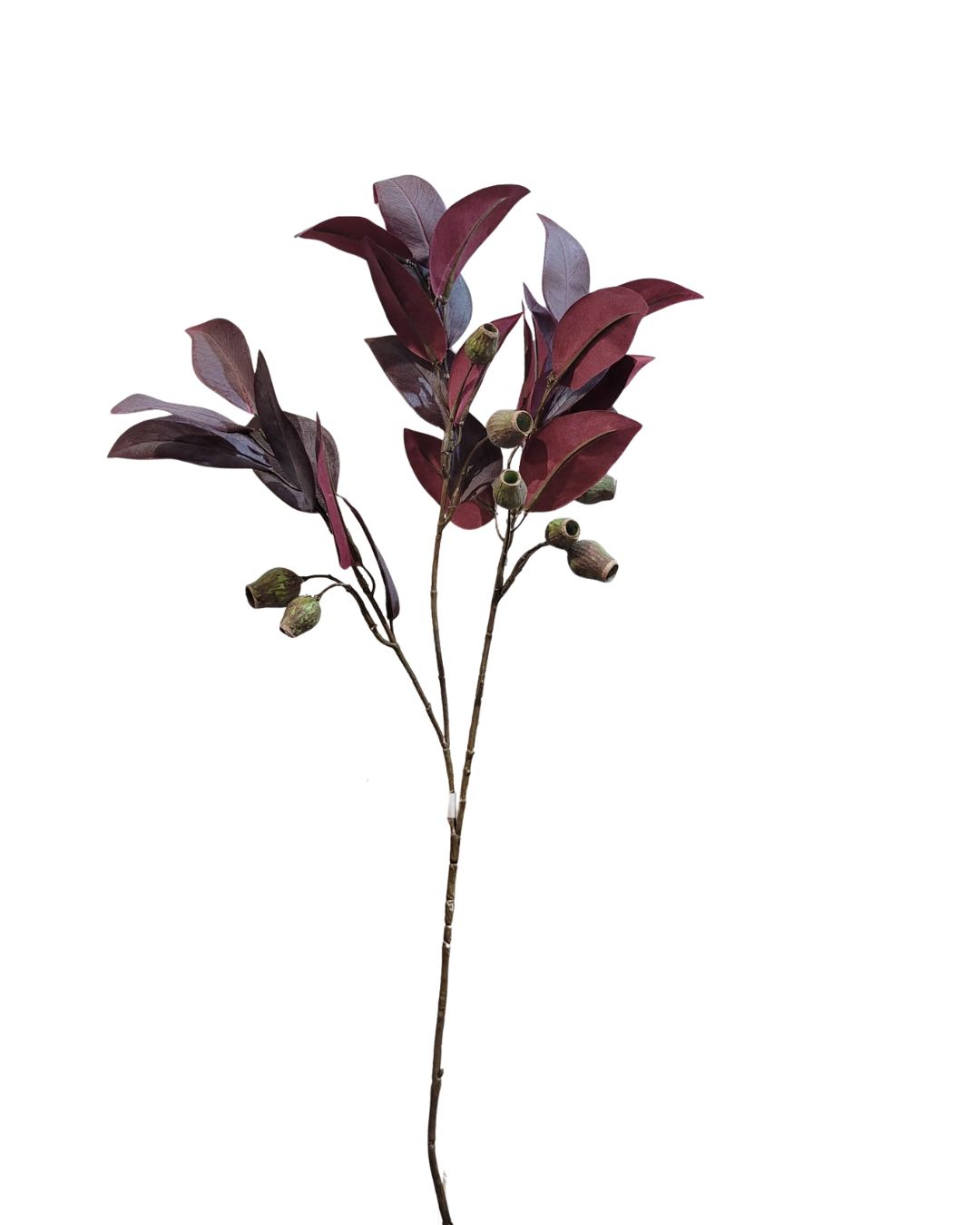 Untitled design - 2026-09-25T170629.960.png