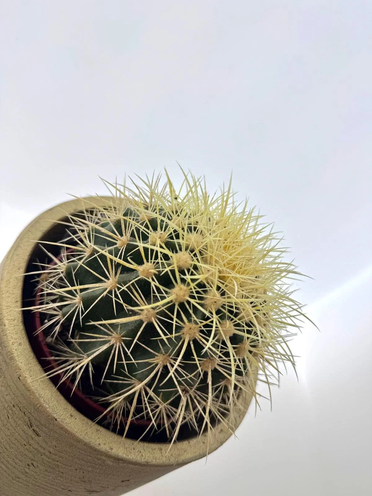 WhatsApp Image 2026-03-16 at 13.05.32 (1).jpeg