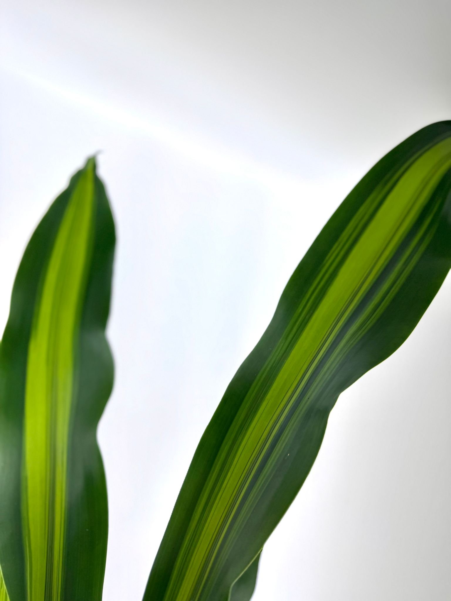 WhatsApp Image 2026-03-23 at 13.45.50.jpeg