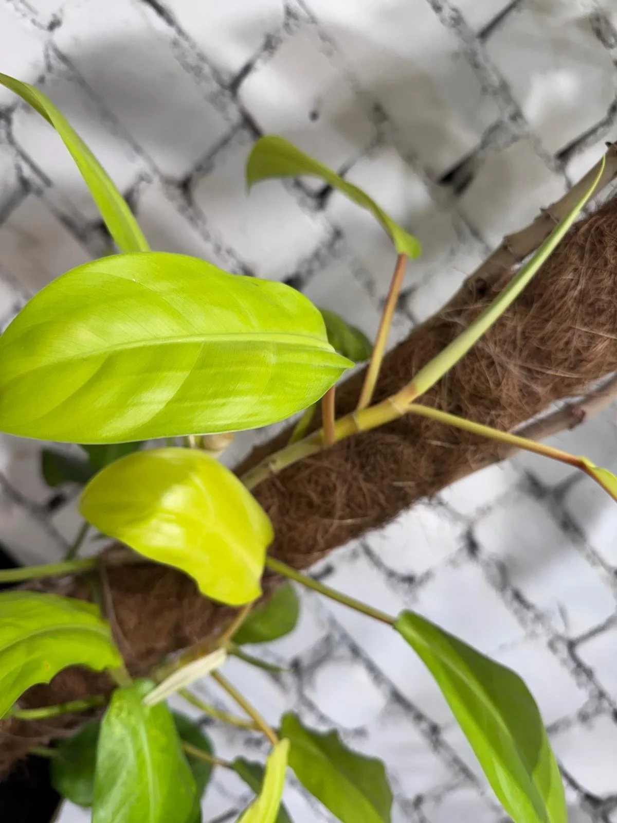 WhatsApp Image 2026-03-13 at 10.13.42.jpeg