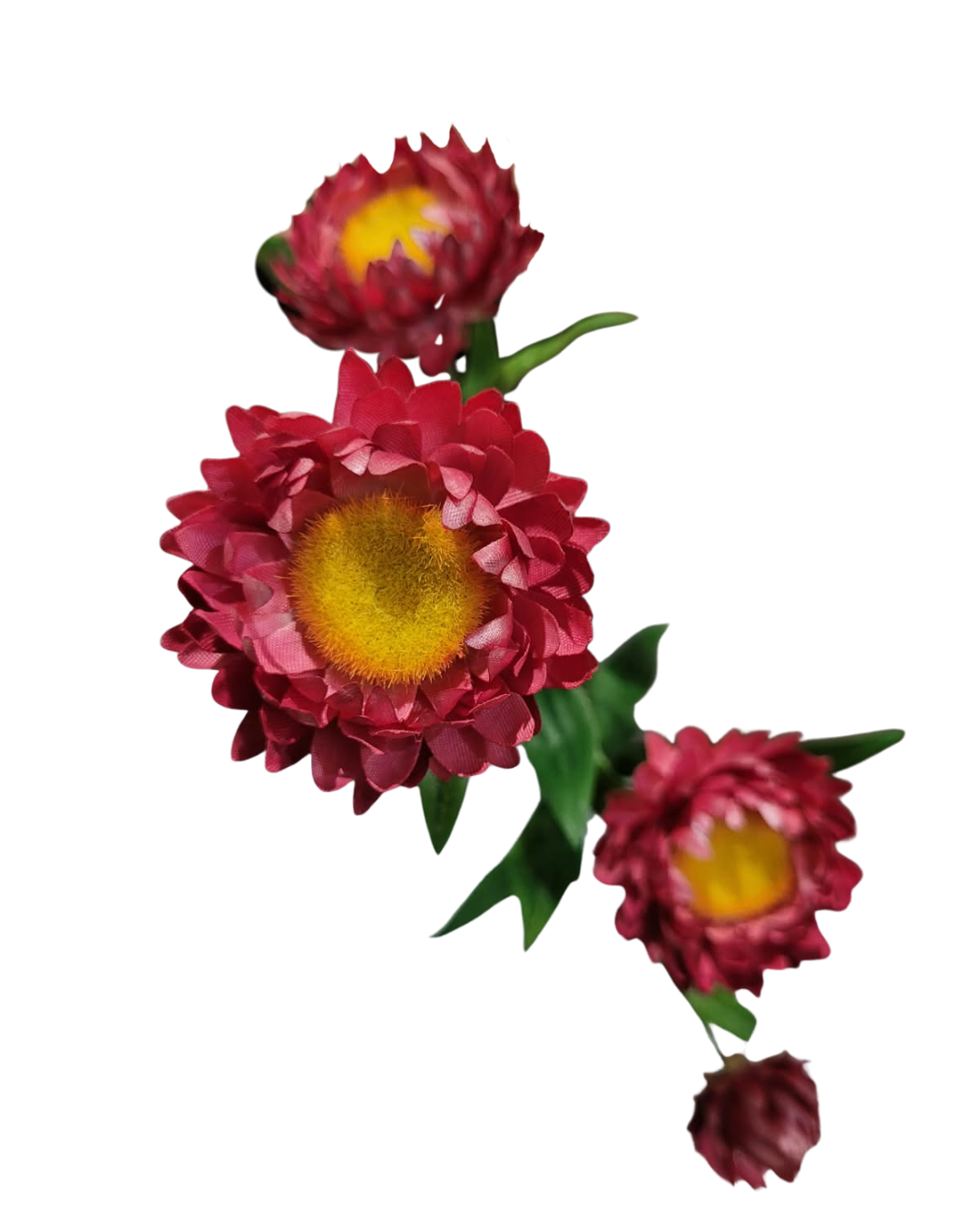 5.png