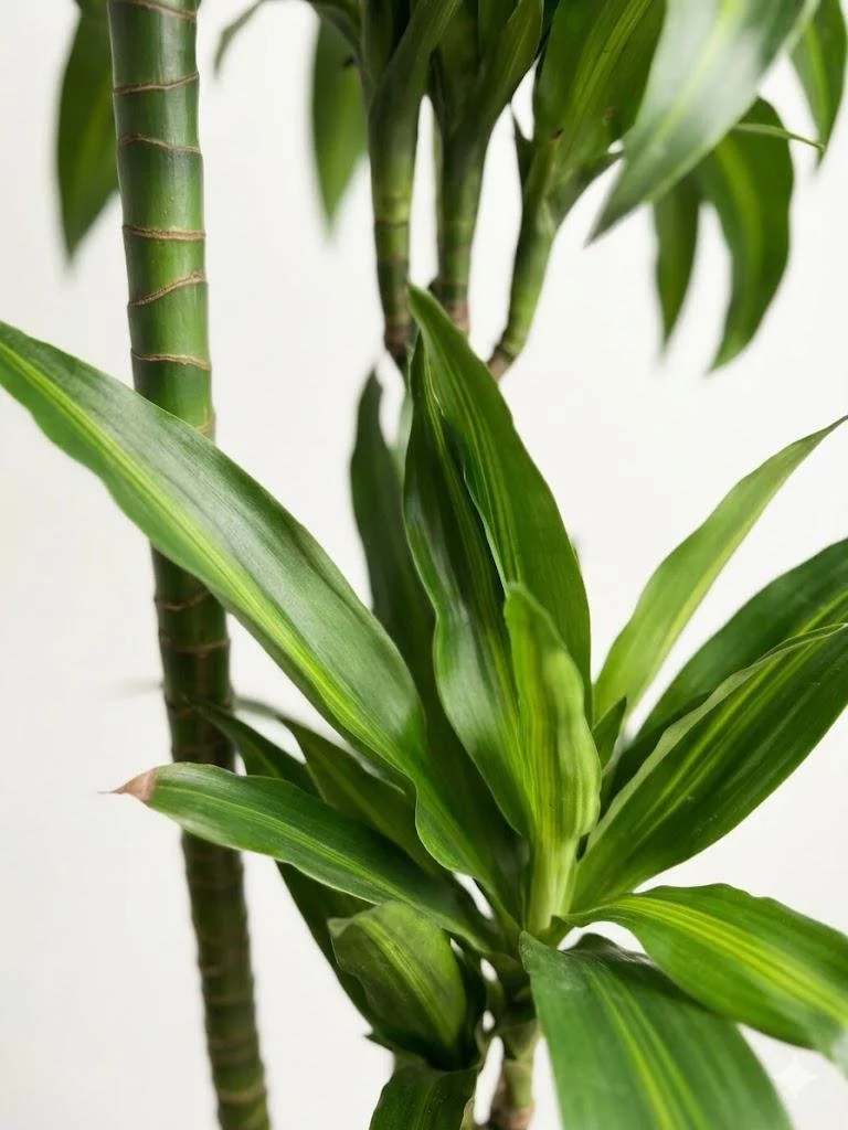 WhatsApp Image 2026-03-23 at 15.41.21 (1).jpeg