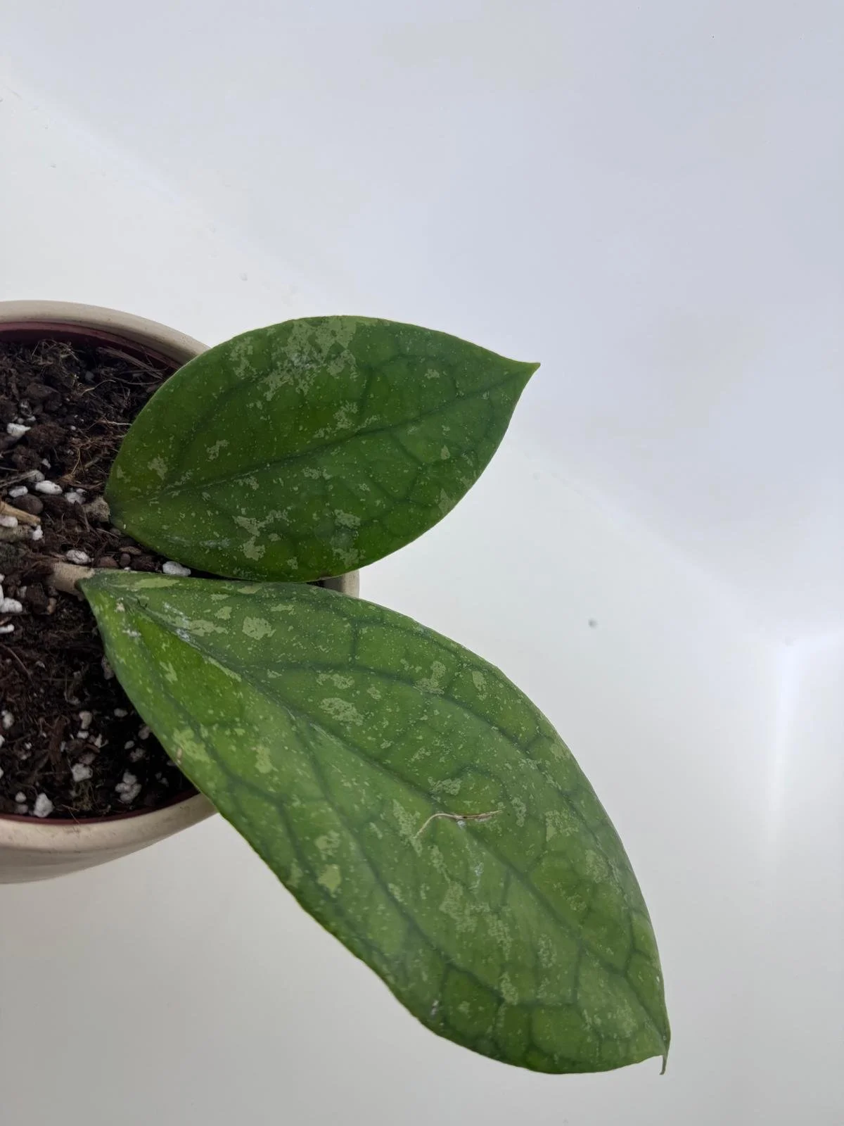 WhatsApp Image 2026-03-11 at 16.24.23 (6).jpeg