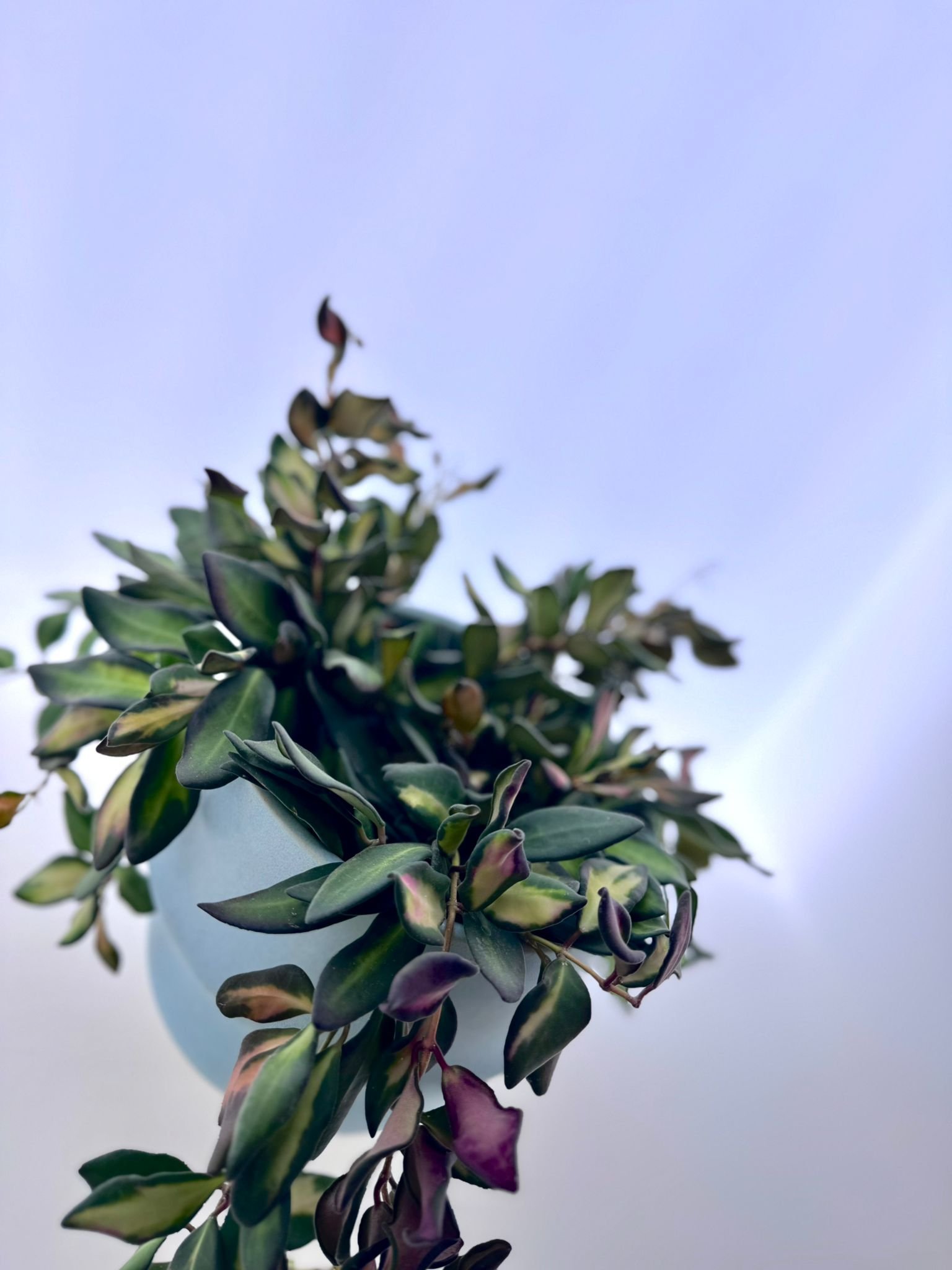 WhatsApp Image 2026-03-12 at 12.19.21.jpeg