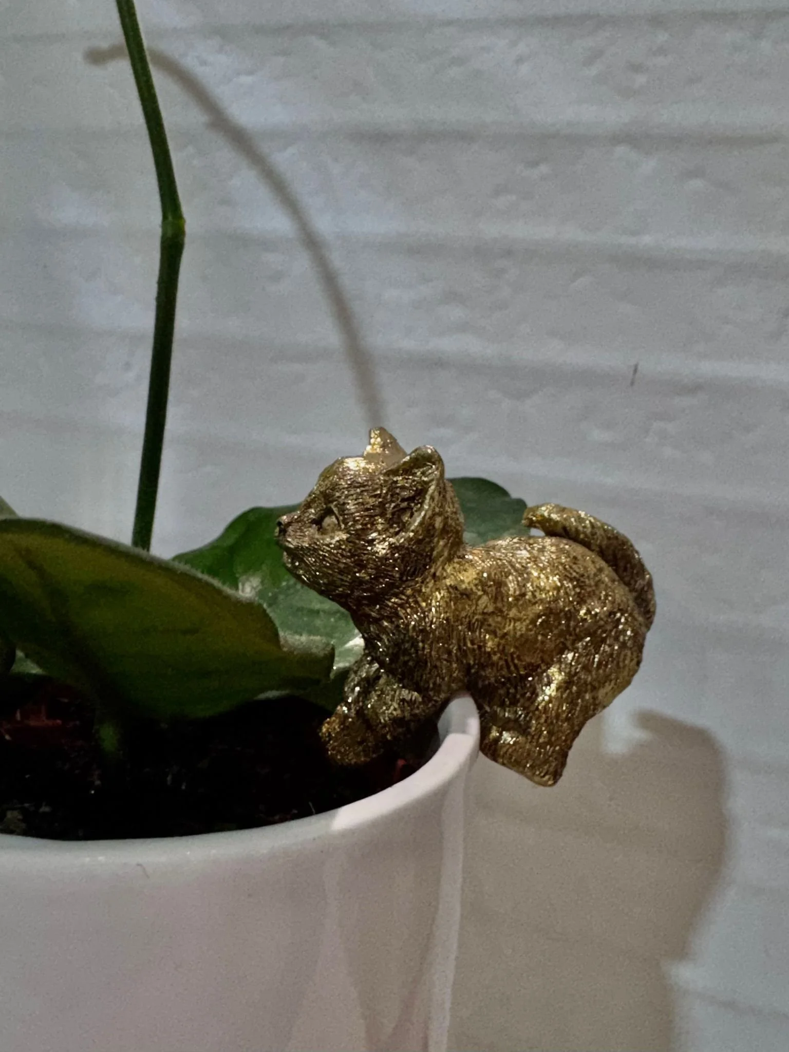 WhatsApp Image 2026-03-10 at 16.24.26 (2).jpeg