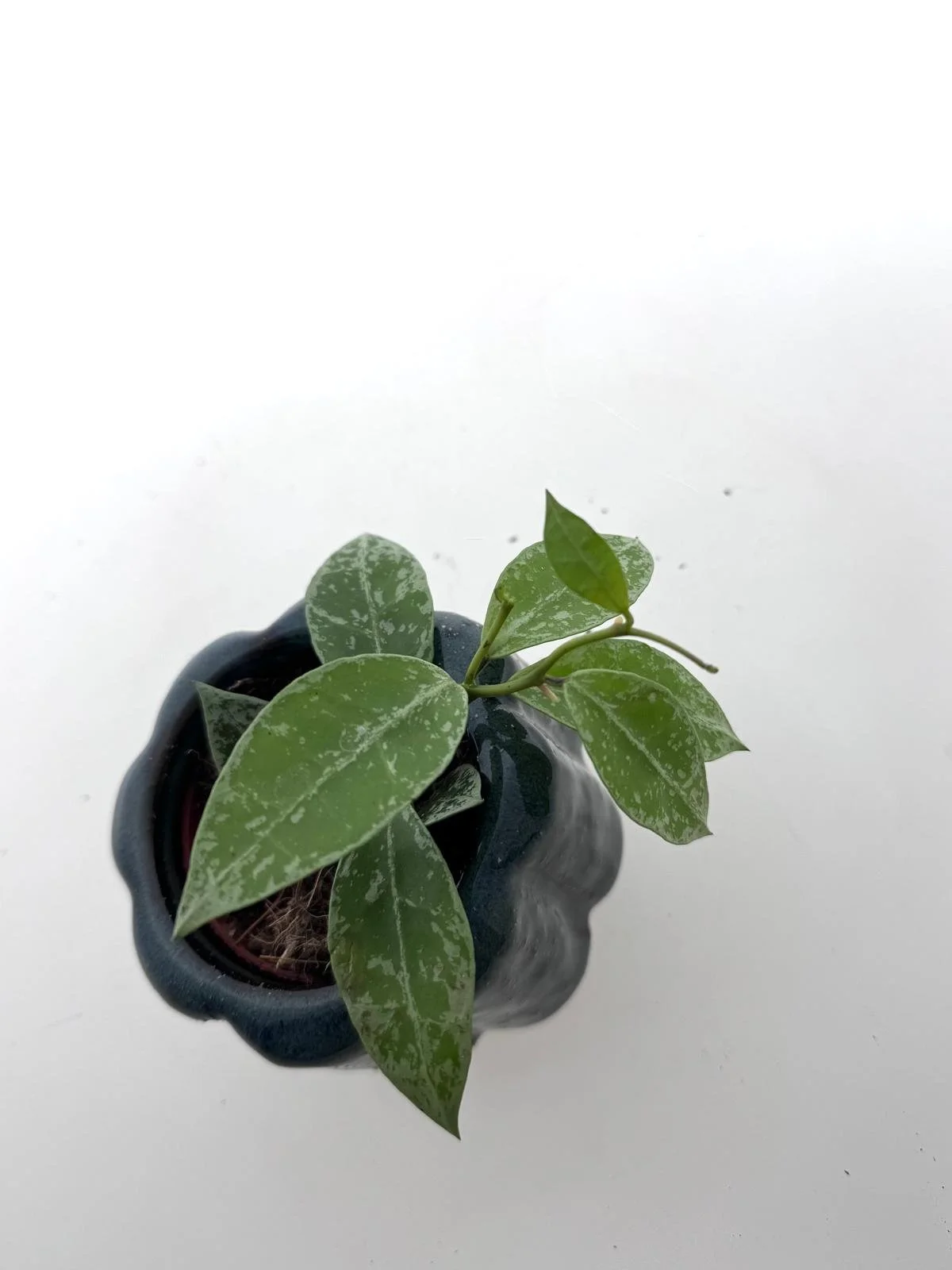 WhatsApp Image 2026-03-25 at 13.57.21 (1).jpeg