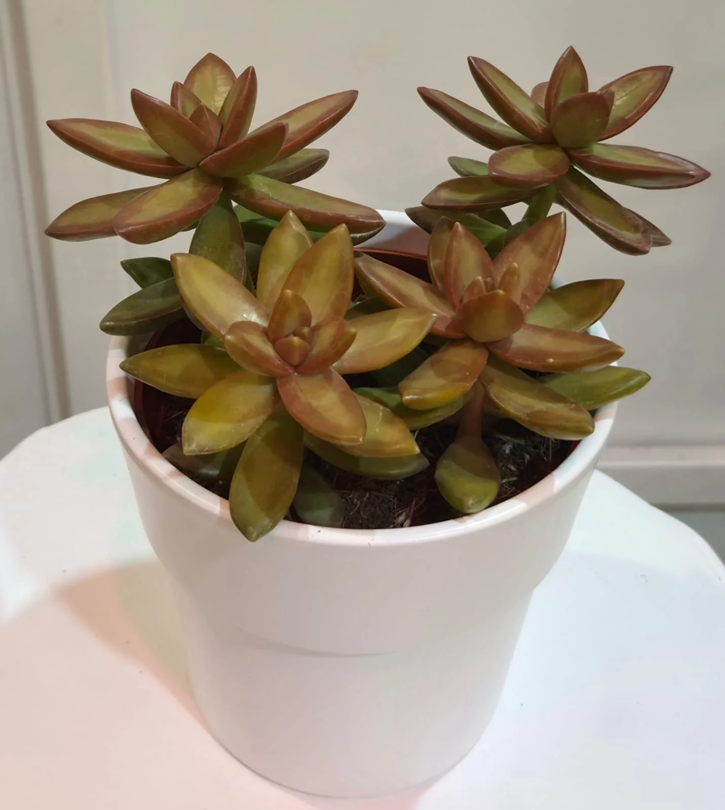 WhatsApp Image 2026-03-17 at 14.19.06 (1).jpeg