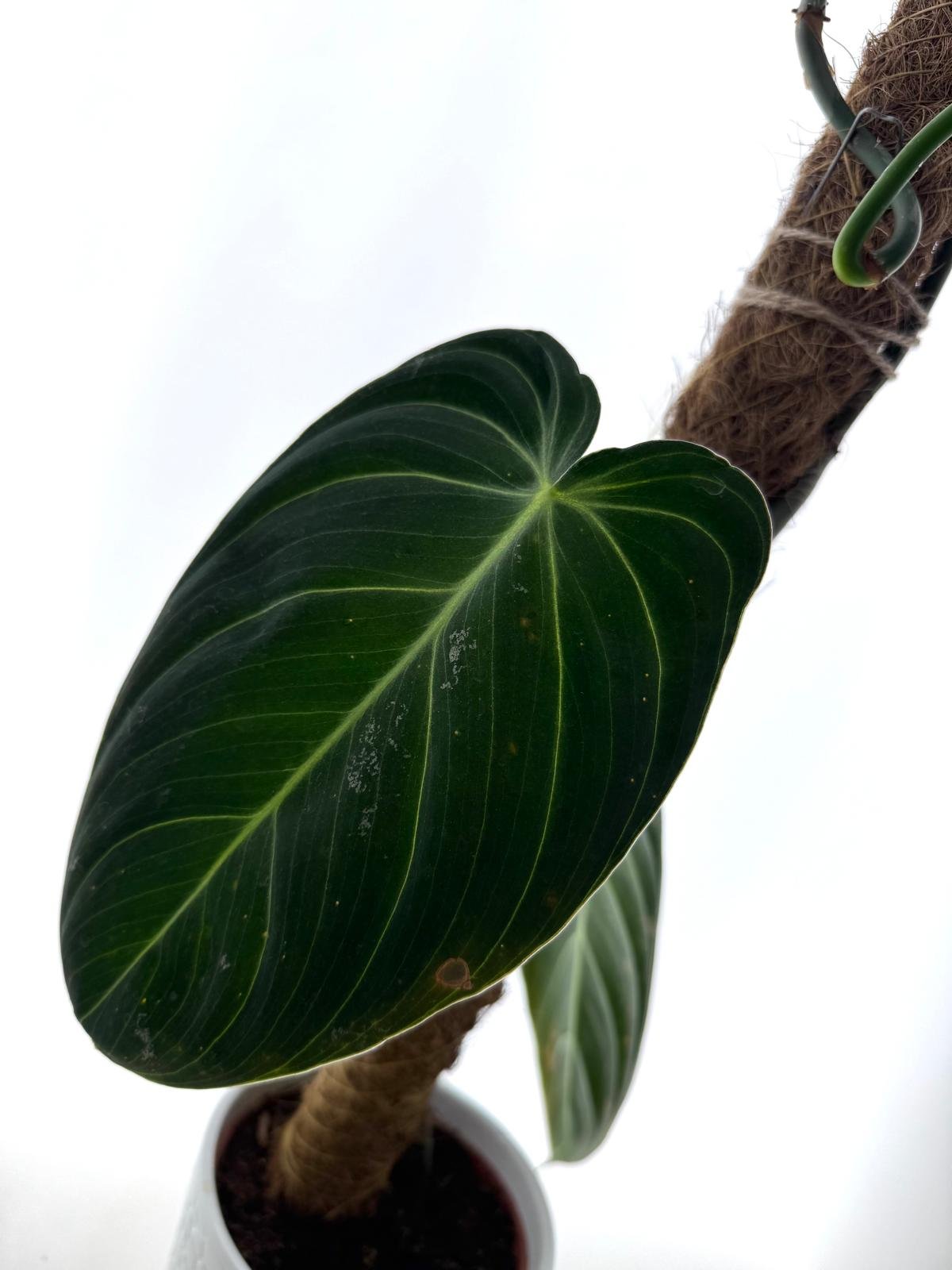 WhatsApp Image 2026-03-16 at 12.04.09 (1).jpeg