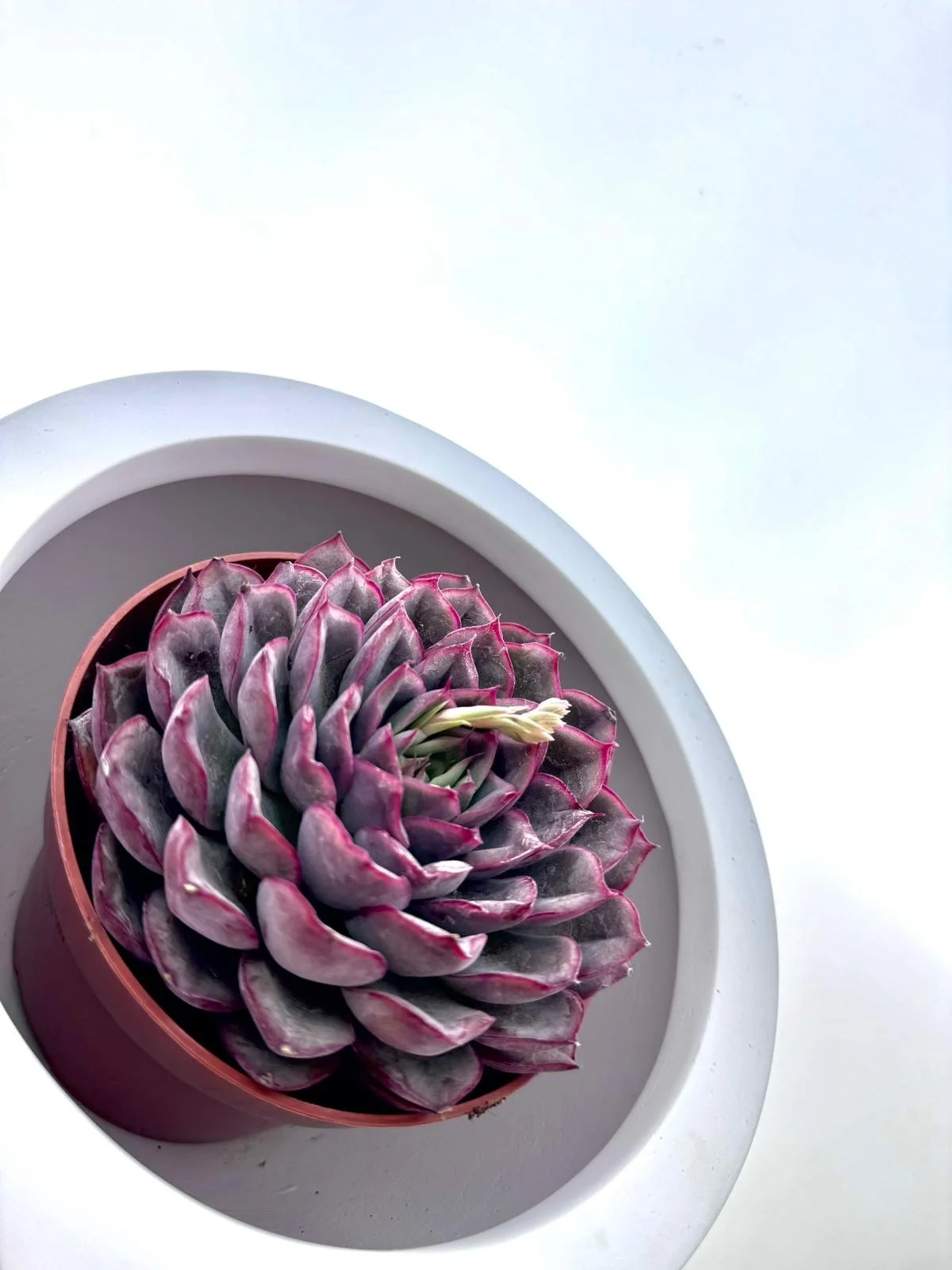 WhatsApp Image 2026-03-12 at 11.41.22.jpeg