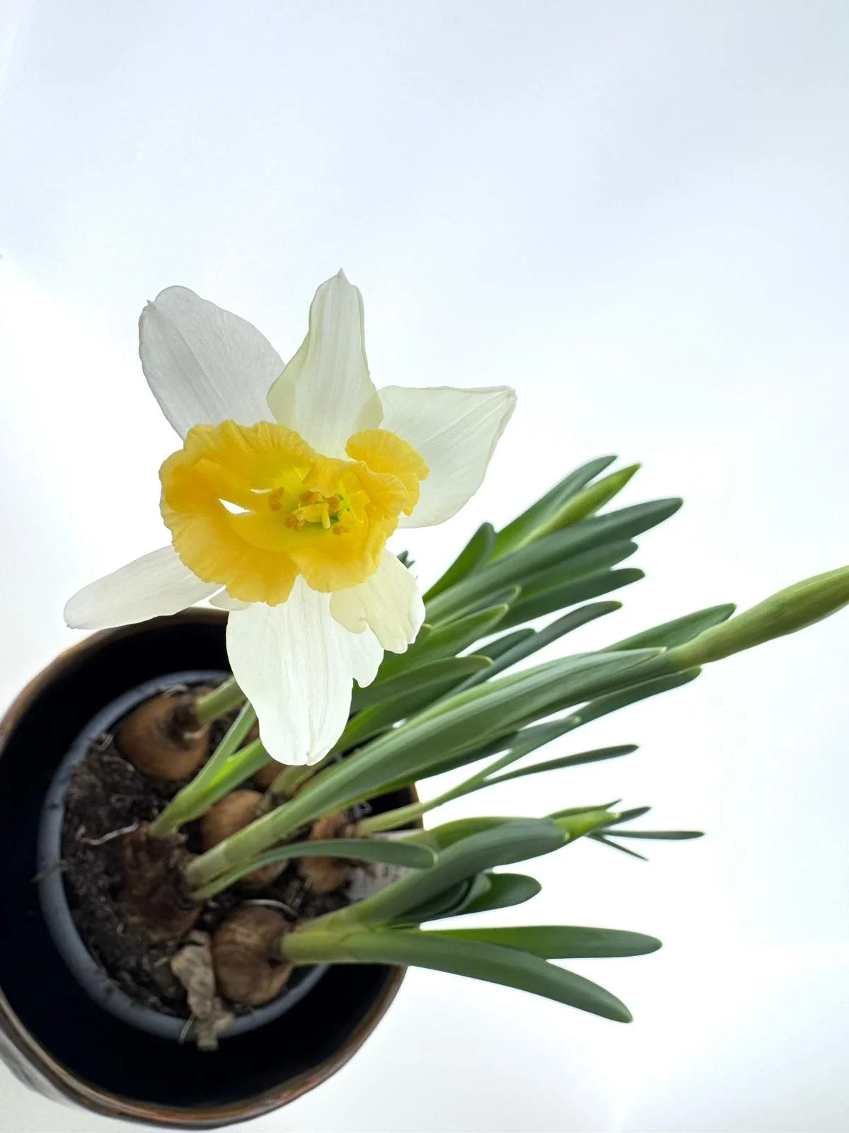 WhatsApp Image 2026-03-10 at 15.30.54 (1).jpeg