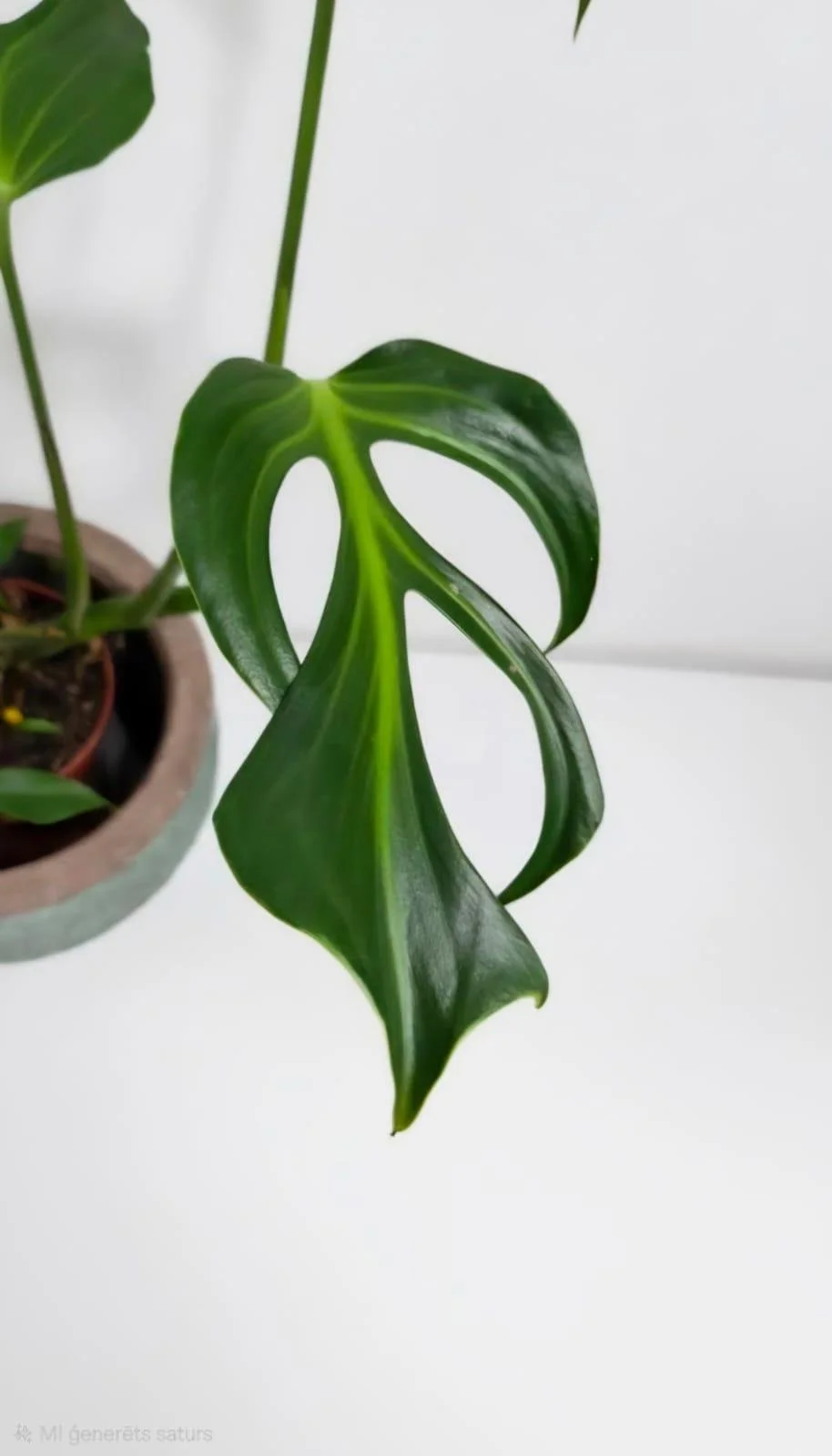 WhatsApp Image 2026-03-13 at 16.17.12 (2).jpeg