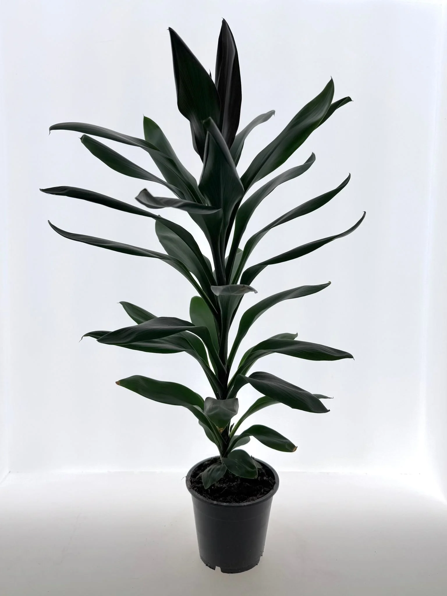 WhatsApp Image 2026-03-16 at 10.55.18 (1).jpeg