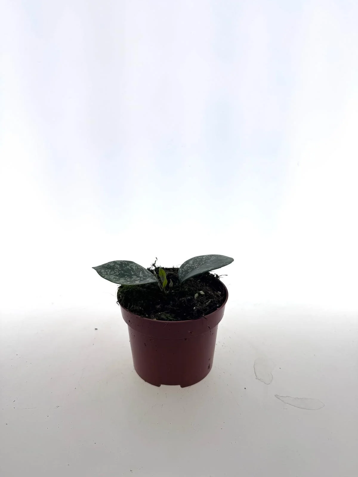 WhatsApp Image 2026-03-25 at 15.22.57 (1).jpeg