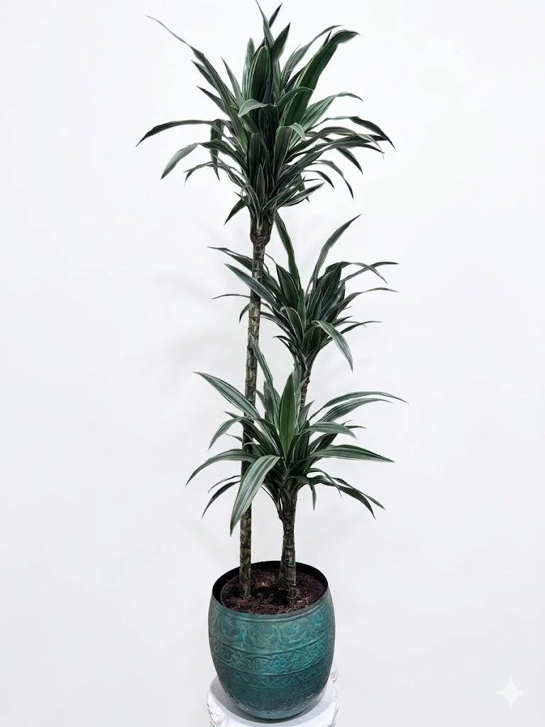 WhatsApp Image 2026-03-23 at 15.41.22 (5).jpeg