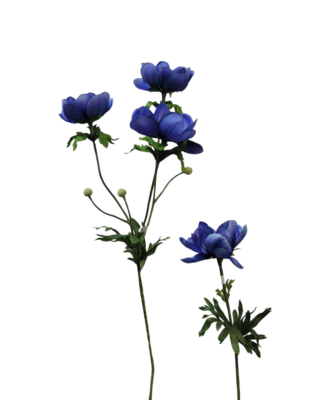 Mākslīgā anemone