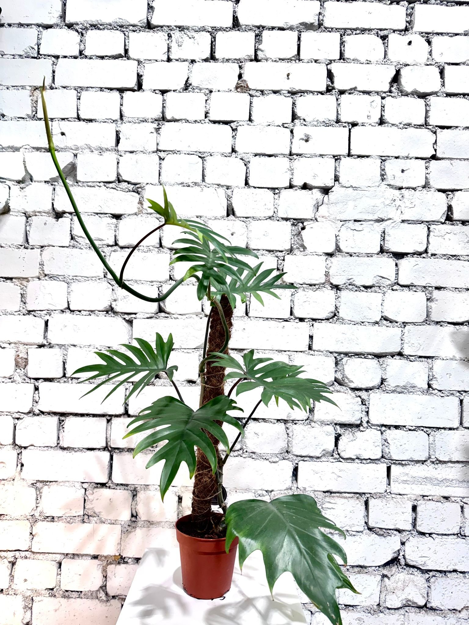 WhatsApp Image 2026-03-13 at 10.24.29.jpeg