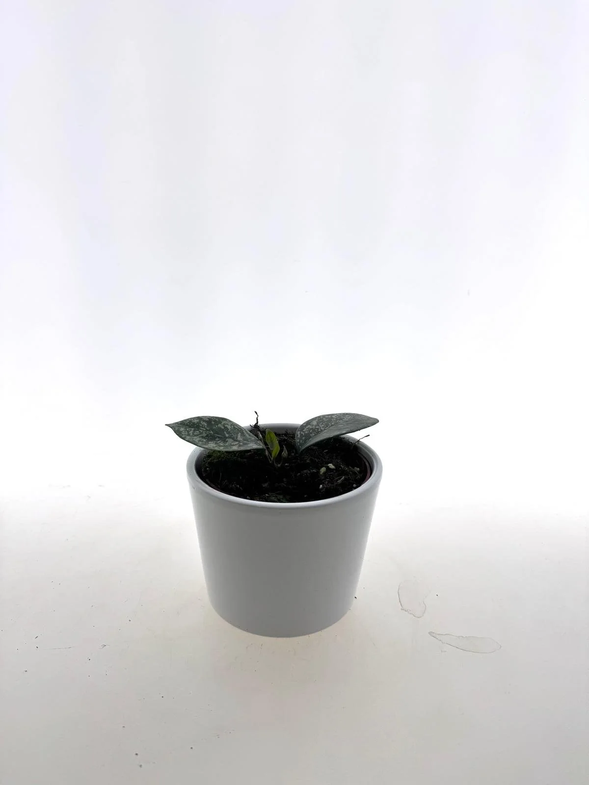 WhatsApp Image 2026-03-25 at 15.22.56.jpeg