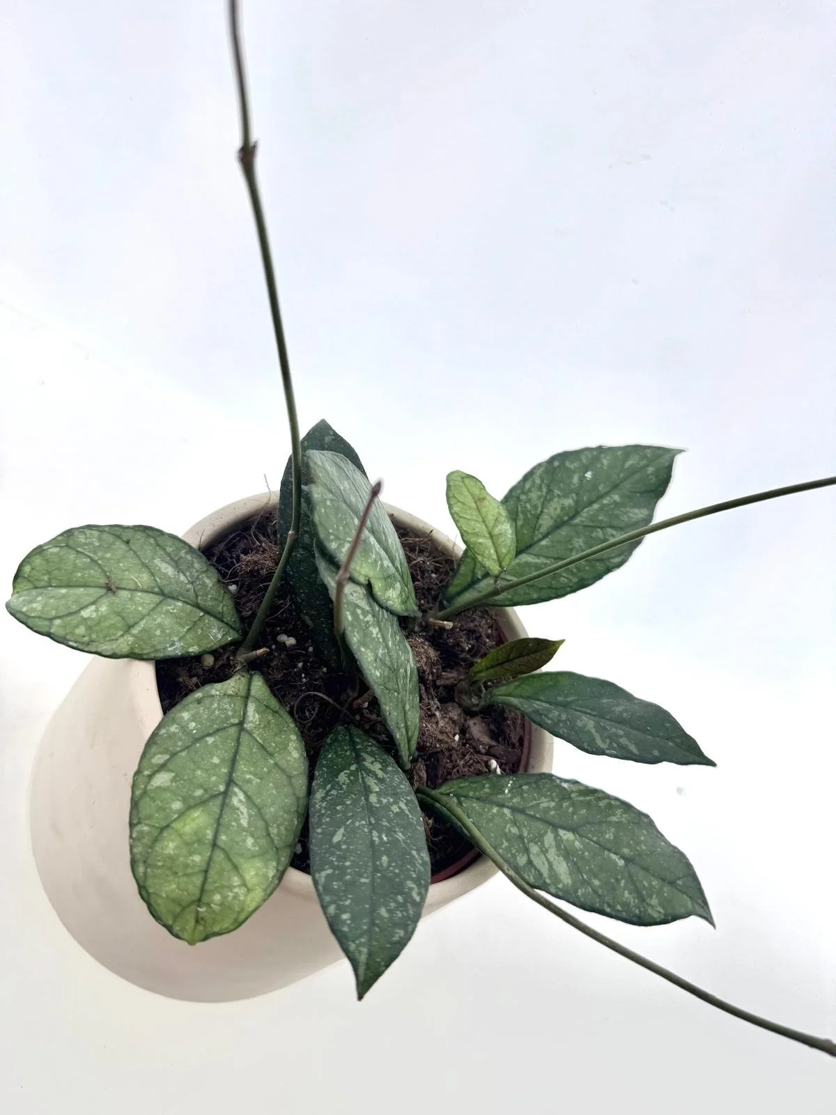 WhatsApp Image 2026-03-11 at 16.24.23 (3).jpeg