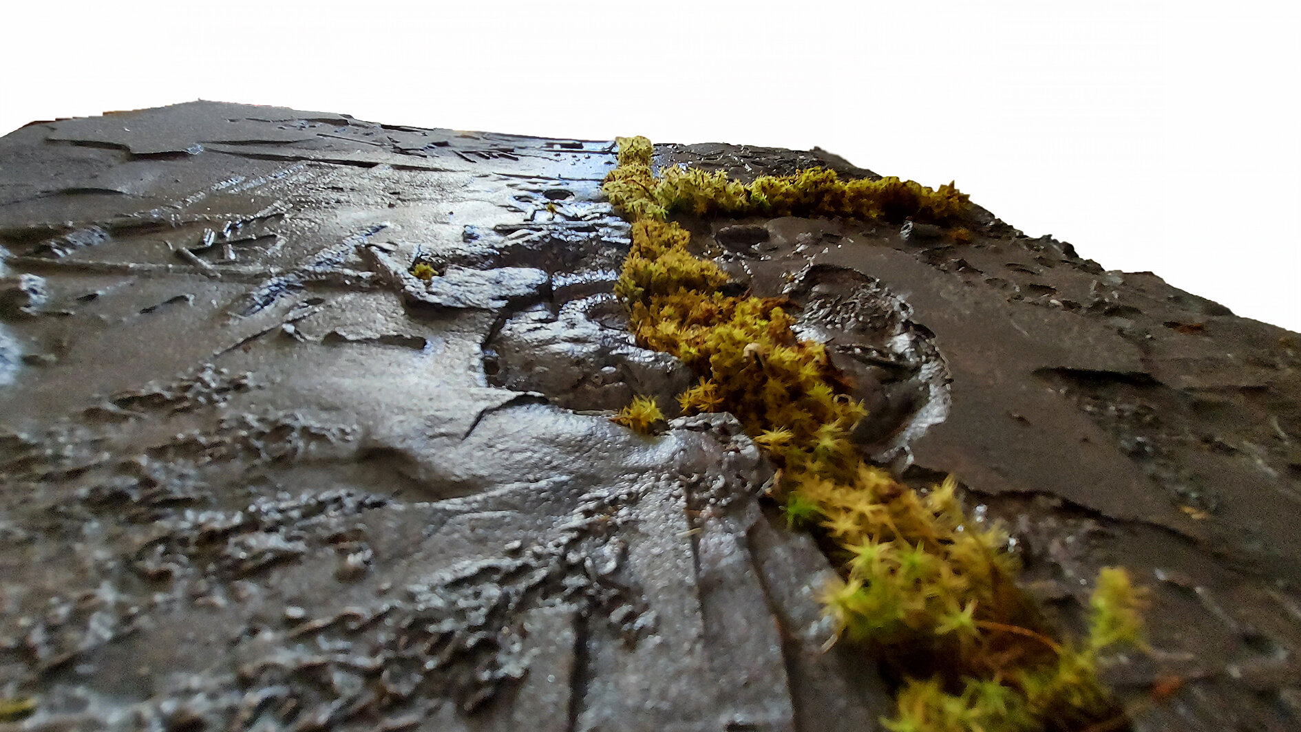 Terra Firma, broken sculpture, moss, 50x50x4 cm, 2001-21