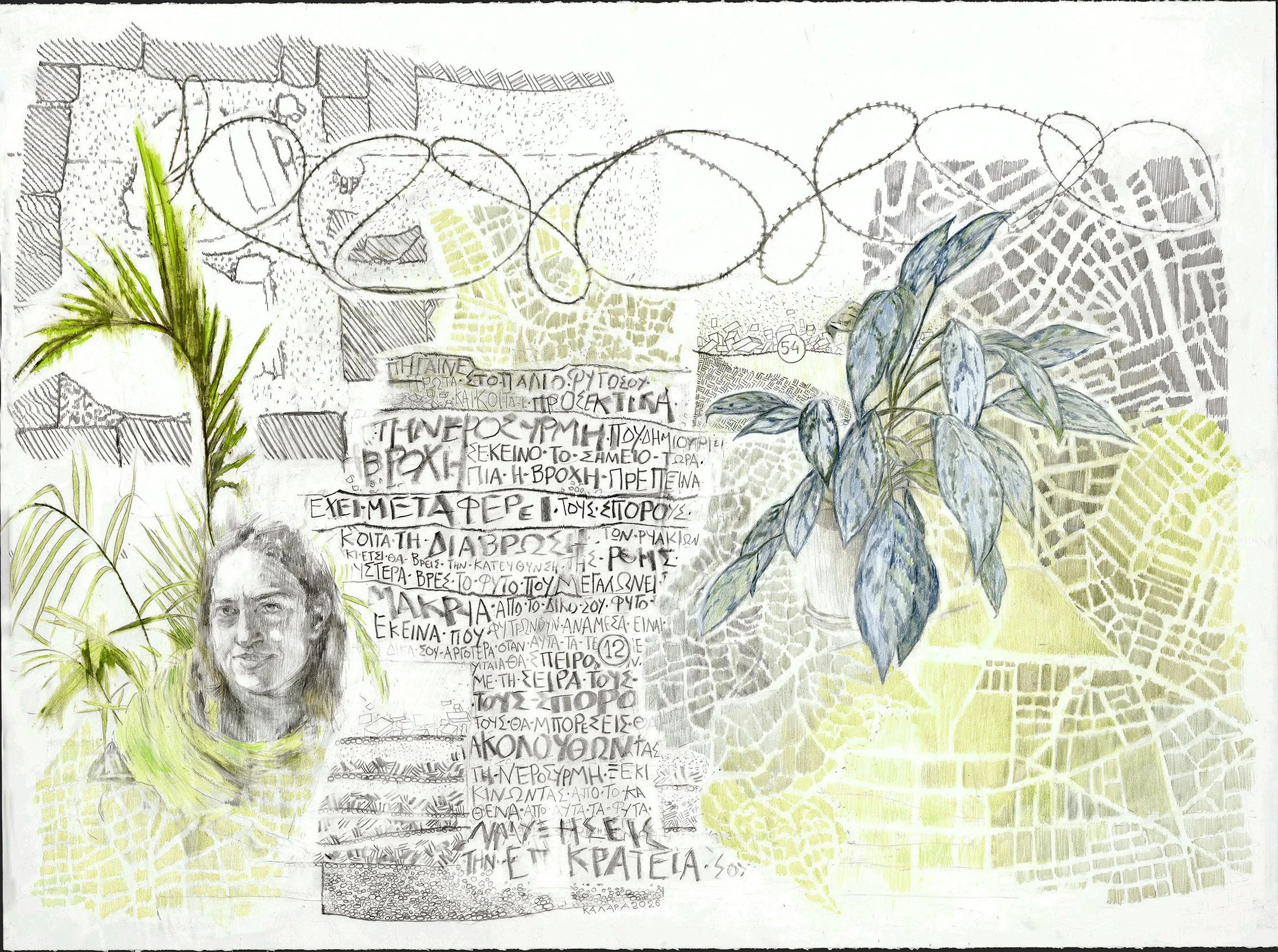 Untitled, 57x77 cm, 2026, graphite and oil pastel on paper
