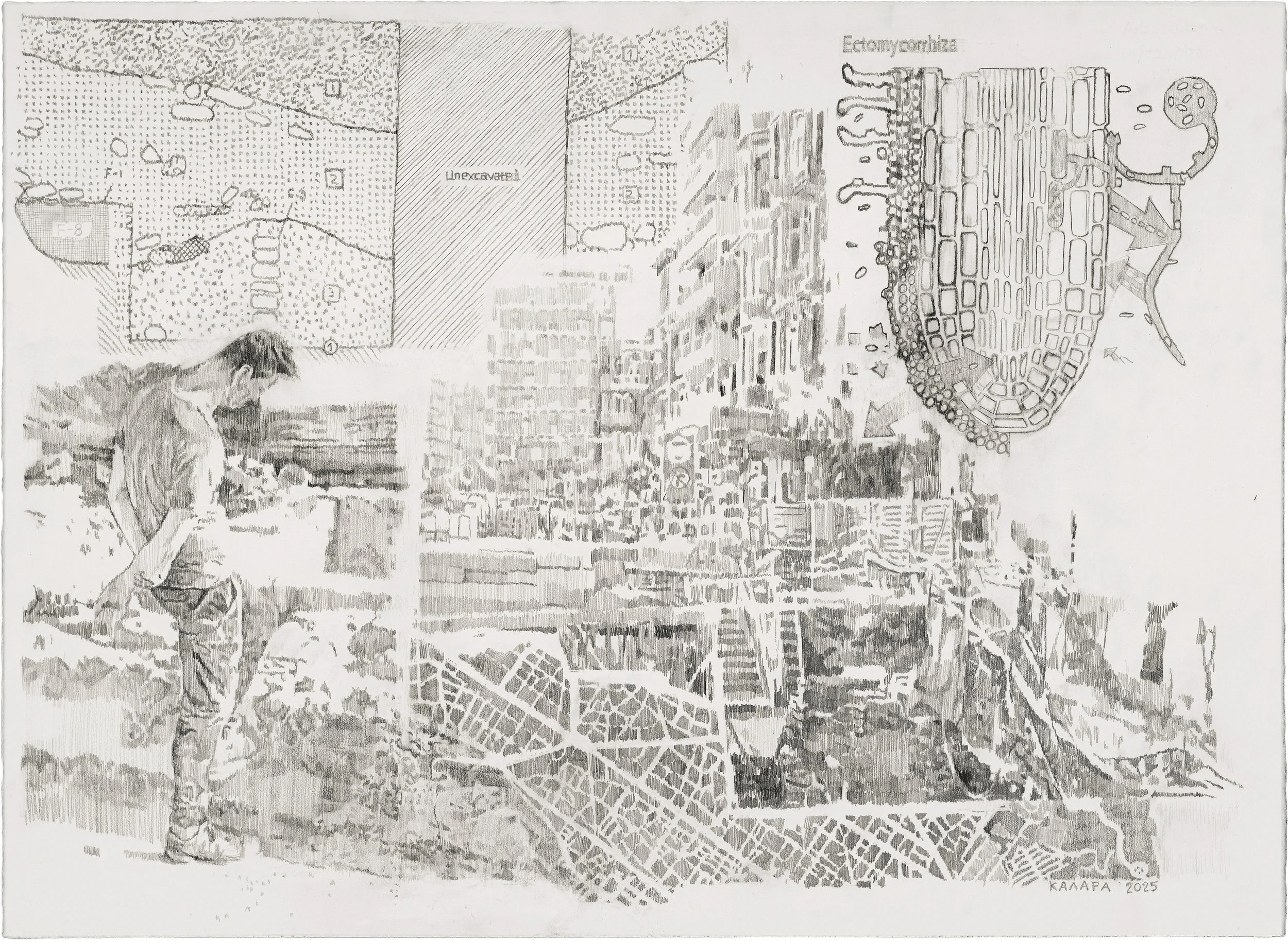 Untitled, 57x77 cm, 2025, graphite and oil pastel on paper