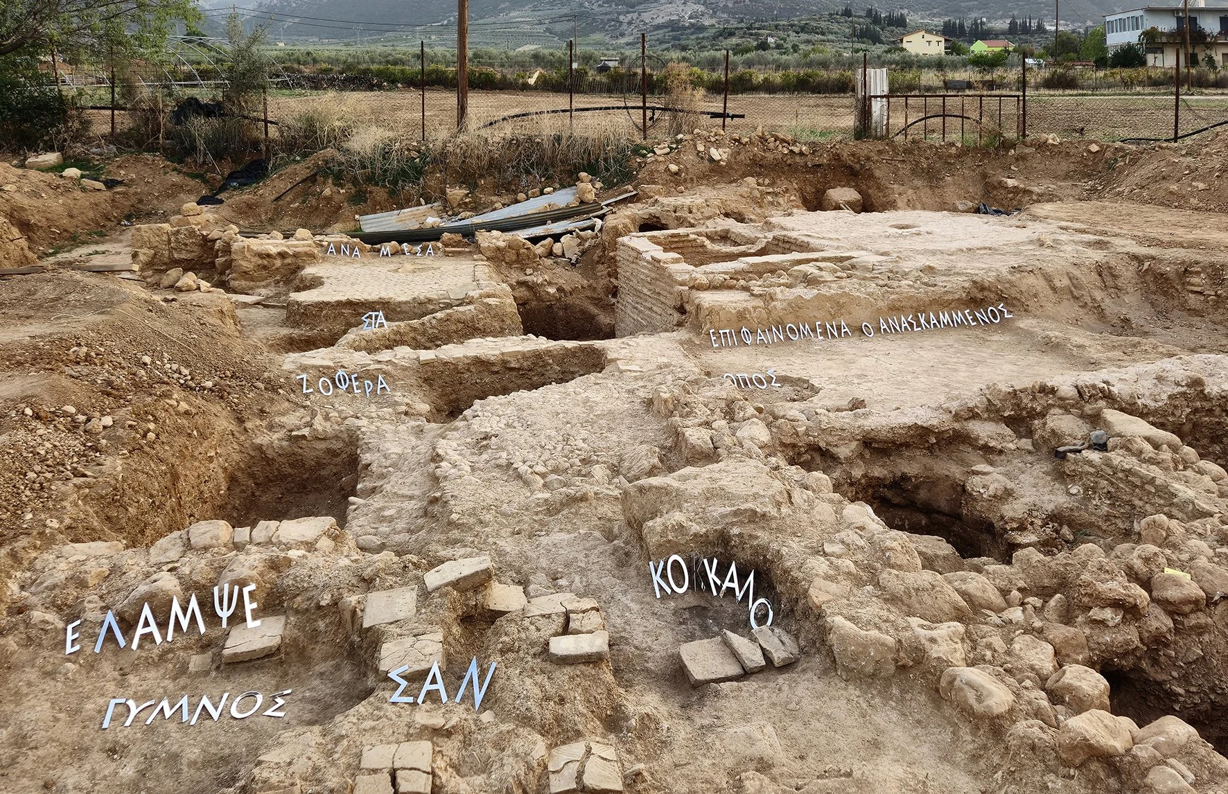 Χάμω, inkjet print, 2024