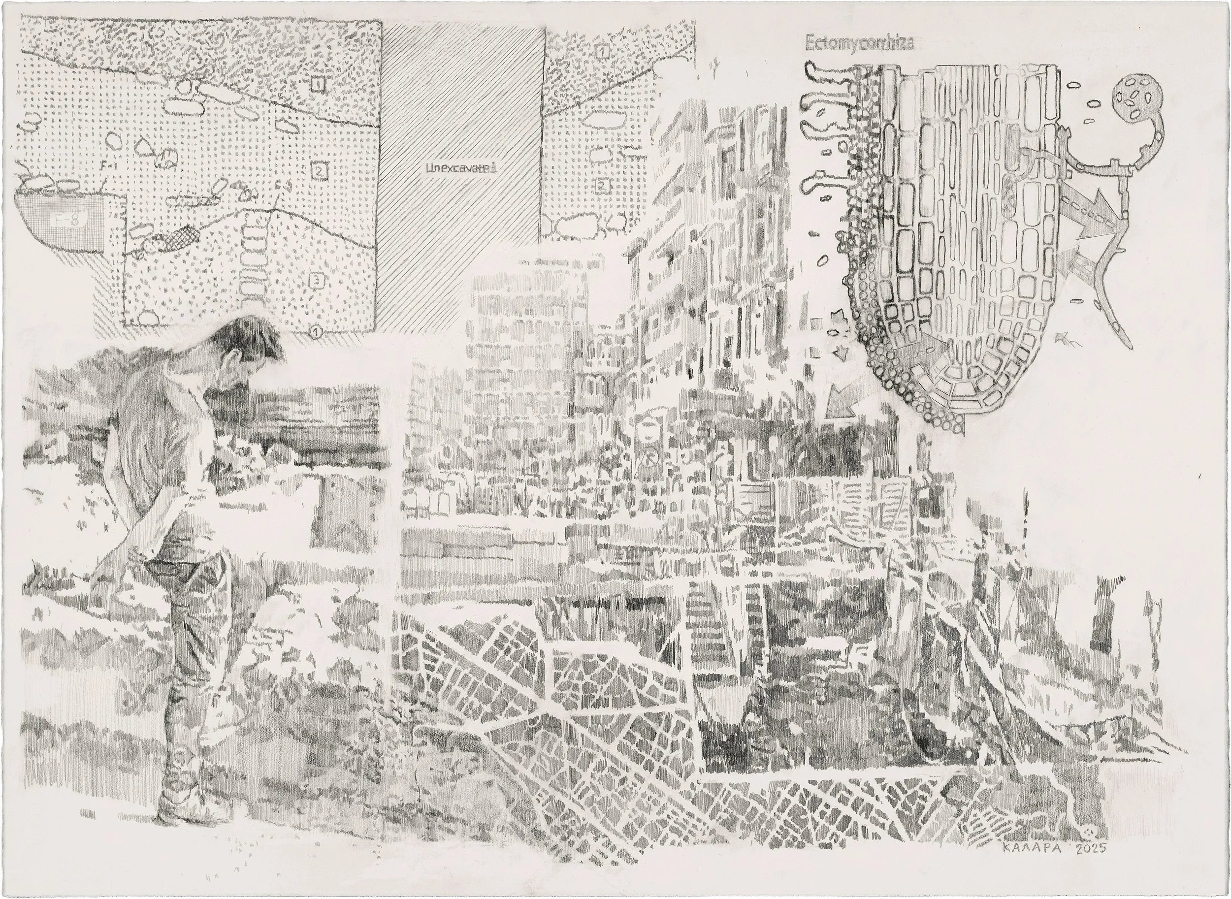 ΧΩΡΙΣ ΤΙΤΛΟ_1_57Χ77_2025_ΜΟΛΥΒΙ ΣΕ ΧΑΡΤΙ.jpg